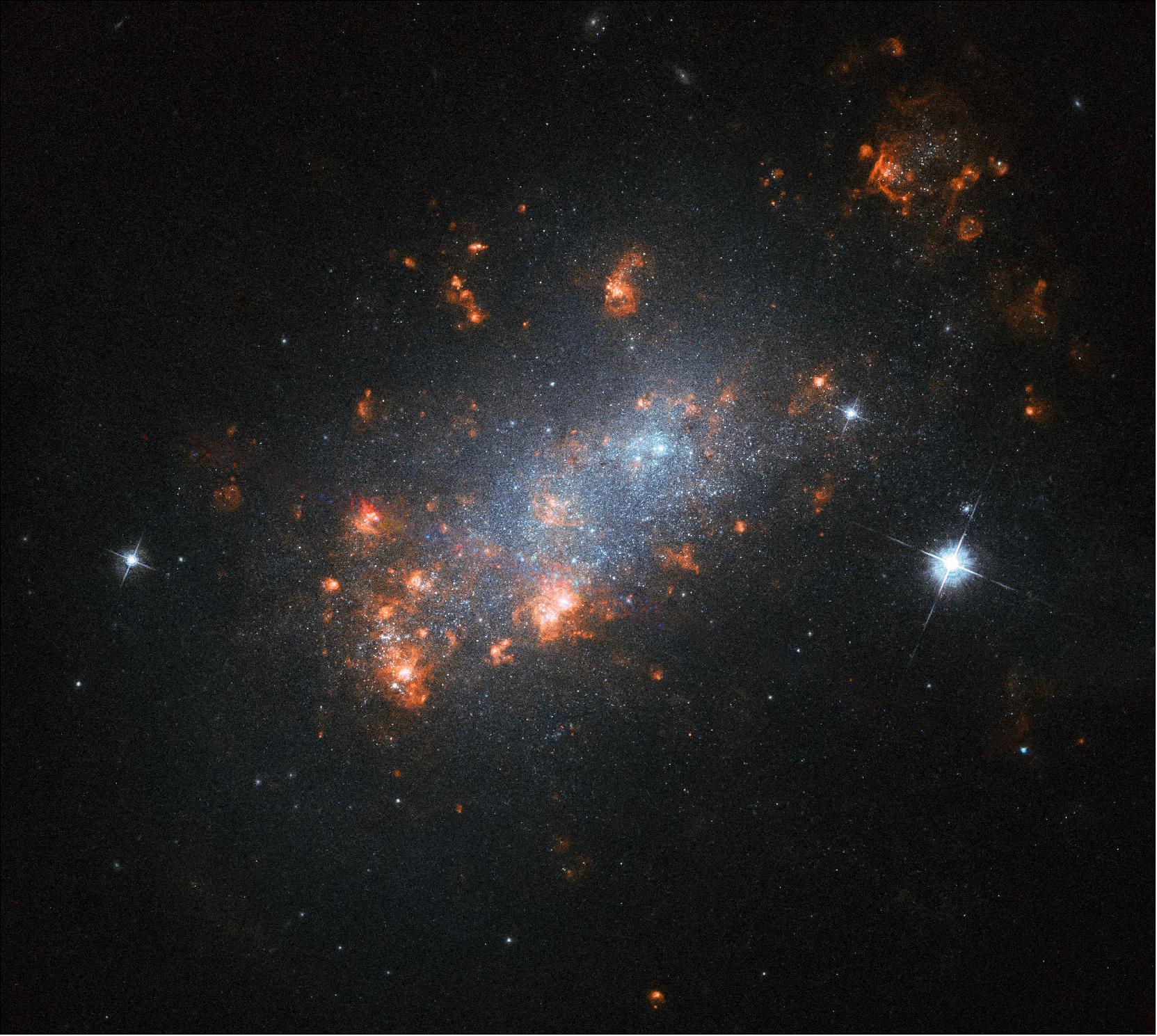 Figure 39: The galaxy NGC 1156 resembles a delicate cherry blossom tree flowering in springtime in this Hubble Picture of the Week. The many bright "blooms" within the galaxy are in fact stellar nurseries — regions where new stars are springing to life. Energetic light emitted by newborn stars in these regions streams outwards and encounters nearby pockets of hydrogen gas, causing it to glow with a characteristic pink hue (image credit: ESA/Hubble, NASA, R. Jansen; CC BY 4.0)