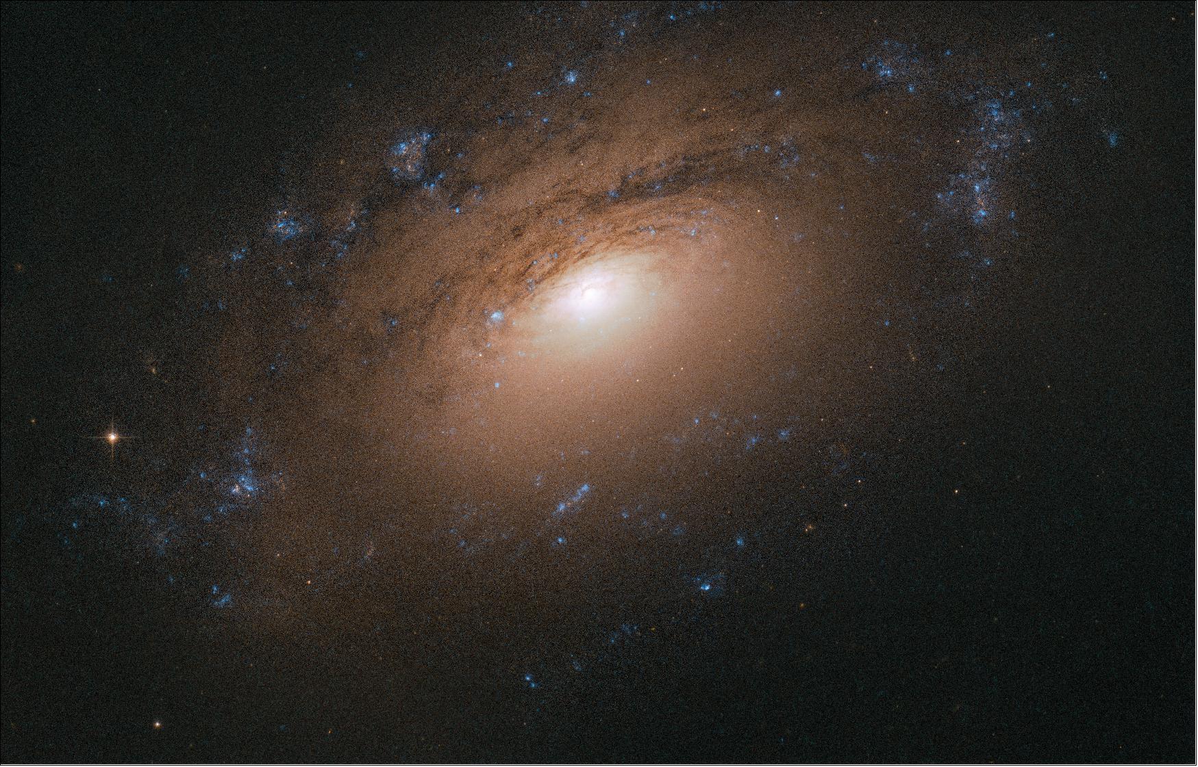 Figure 35: In the case of NGC 3169, this barrier is the thick dust embedded within the galaxy's spiral arms. Cosmic dust comprises a potpourri of particles, including water ice, hydrocarbons, silicates, and other solid material. It has many origins and sources, from the leftovers of star and planet formation to molecules modified over millions of years by interactions with starlight (image credit: ESA/Hubble & NASA, L. Ho; CC BY 4.0)