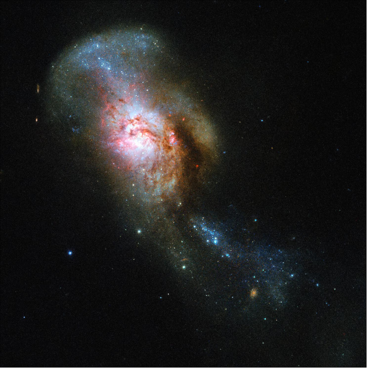Figure 21: The galaxy pictured in this Hubble Picture of the Week has an especially evocative name: the Medusa merger. The Medusa merger is located about 130 million light-years away in the constellation of Ursa Major (The Great Bear), image credit: ESA/Hubble & NASA, A. Adamo; CC BY 4.0