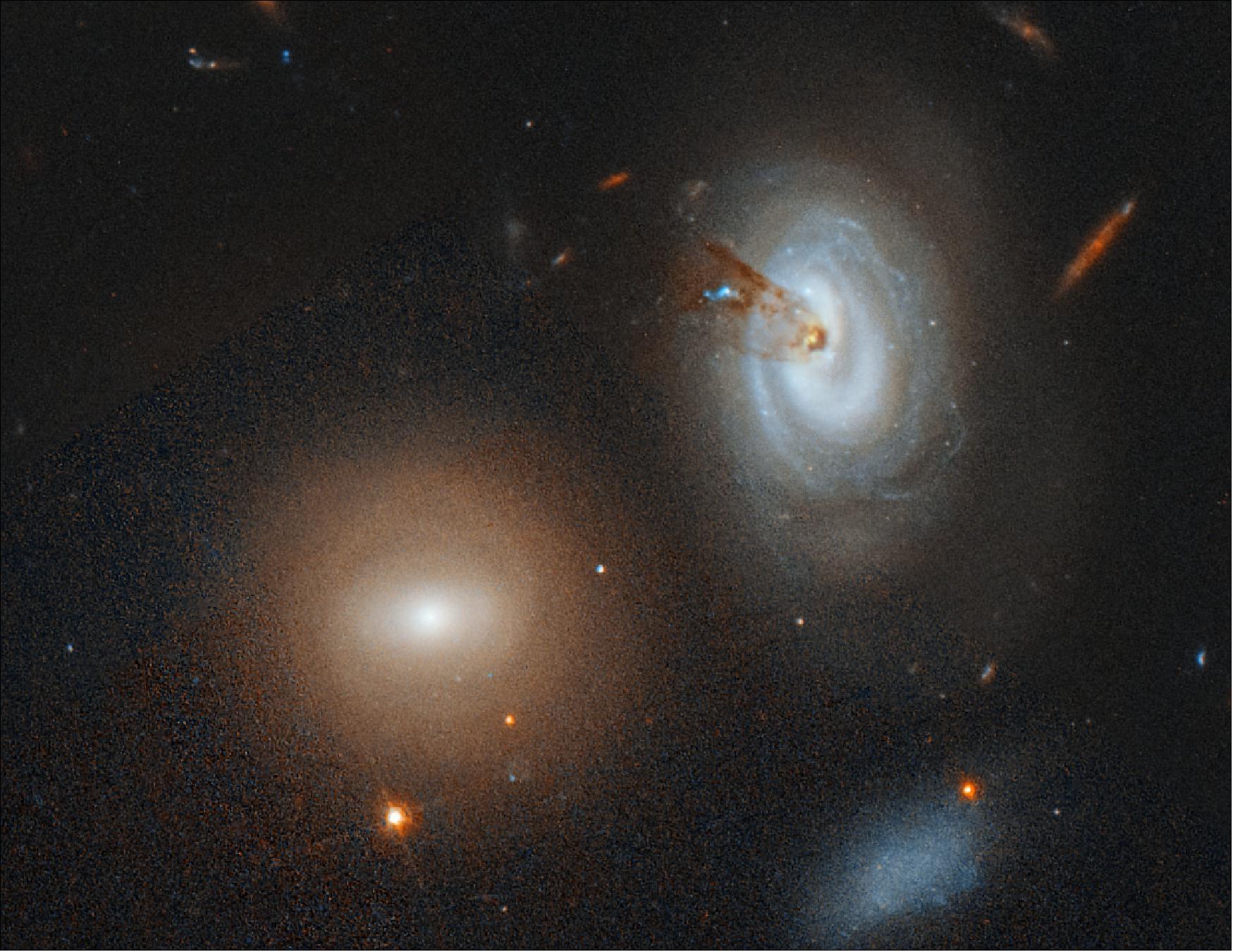 Figure 76: The spiral galaxy D100, on the far right of this Hubble Space Telescope image, is being stripped of its gas as it plunges toward the center of the giant Coma galaxy cluster. The dark brown streaks near D100's central region are silhouettes of dust escaping from the galaxy. The dust is part of a long, thin tail, also composed of hydrogen gas, that stretches like taffy from the galaxy's core. Hubble, however, sees only the dust. The telescope's sharp vision also uncovered the blue glow of clumps of young stars in the tail. The brightest clump in the middle of the tail (the blue feature) contains at least 200,000 stars, fueled by the ongoing loss of hydrogen gas from D100 [image credit: NASA, ESA, M. Sun (University of Alabama), and W. Cramer and J. Kenney (Yale University)]