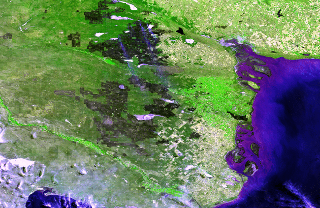 Figure 21: Recovering burn scars in Argentina. This animated pair of Proba-V images shows the pampas recovering from these wildfires. The first 100-m resolution image, acquired on 6 January 2017 shows burnt areas as brown/blackish patches, with some wildfire smoke plumes visible in blue. The second image, from 24 July 2017, reveals the recovery of these grasslands. The greenish corridor below the recovering burn scars is farmland in the vicinity of the winding Rio Negro river itself (image credit: ESA/Belspo – produced by VITO)