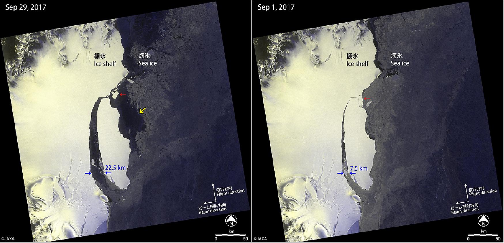 Figure 34: This image shows a comparison of the color-composite images (red: HV, green: HV and blue: HH polarization) observed on 29th September, 2017 (left) and 1st September, 2017 (right). The image on 29th September shows that the width of the crack between the huge iceberg and the ice shelf became 20 km larger than that in 1st September (blue arrows). We have considered that the sea ice around the iceberg has been thinning with the progress of season (yellow arrow) and that the force of sea ice pushing toward the ice shelf has been weakening. Moreover, a small iceberg calved from the huge iceberg (red arrow). The huge iceberg is estimated to flow offshore, and we are going to continue the observation by ALOS-2 (image credit: JAXA)