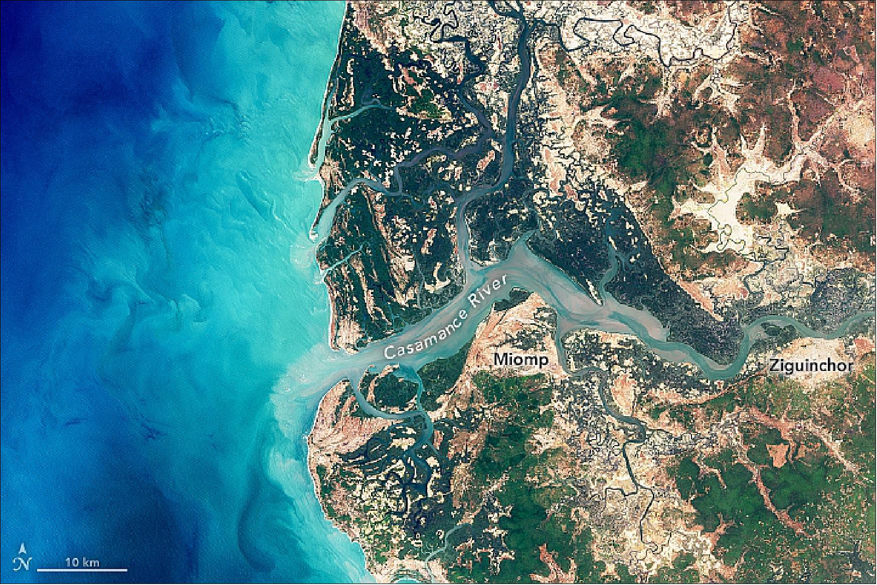 Figure 33: Natural-color image of Senegal's mangrove forests acquired with OLI on 5 March 2018 (image credit: NASA Earth Observatory, image by Joshua Stevens, using data courtesy of David Lagomasino/NASA/GSFC, and Landsat data from the USGS, story by Adam Voiland)