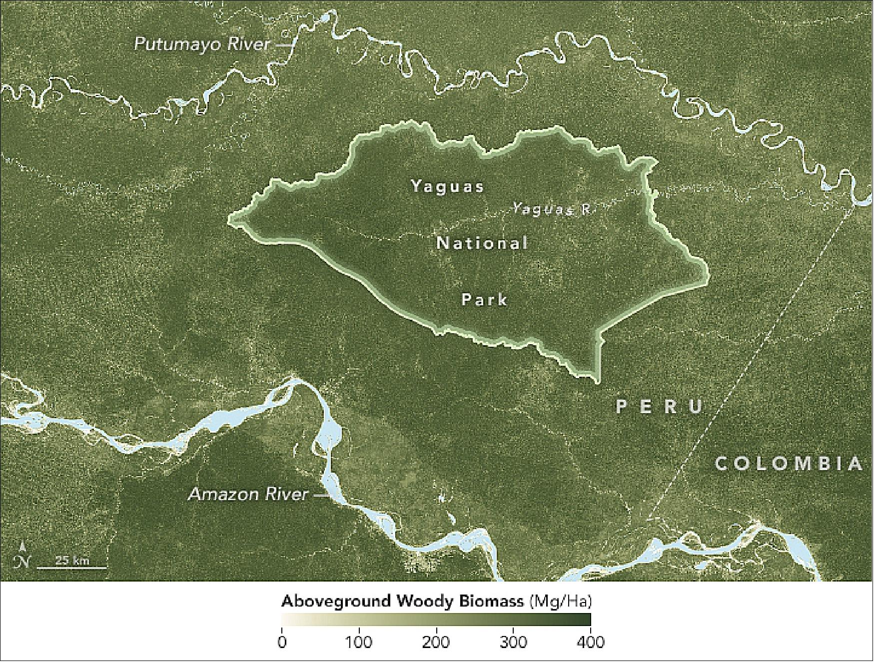 Figure 29: Landsat-7 image acquired in 2000 and inserted model of Yaguas National Park boundaries (image credit: NASA Earth Observatory, images by Joshua Stevens, using data from Global Forest Watch, and Landsat data from the USGS (U.S. Geological Survey), story by Kathryn Hansen)