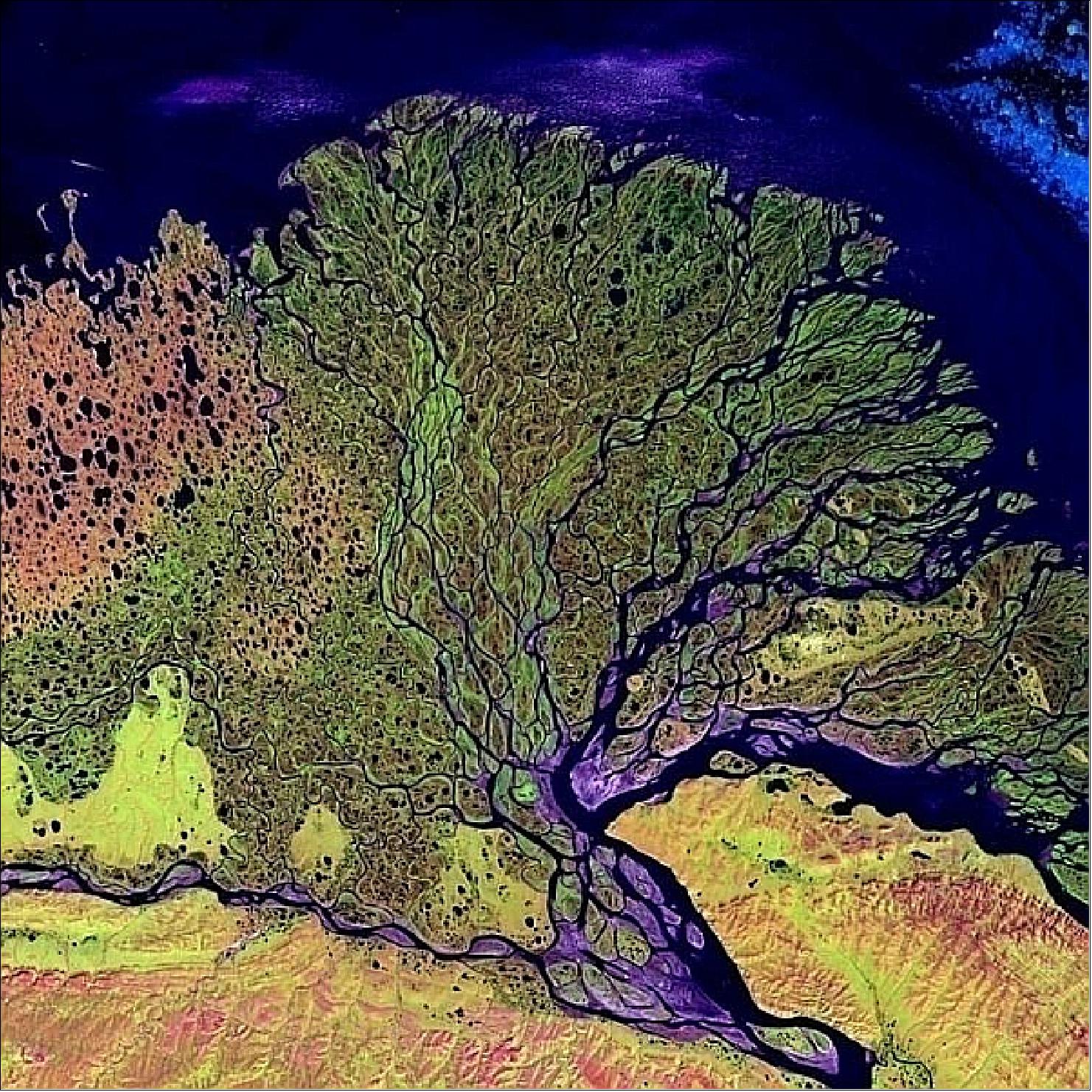 Figure 12: Landsat-7 image of the Lena Delta in northern Russia observed on July 7, 2000 (image credit: USGS)
