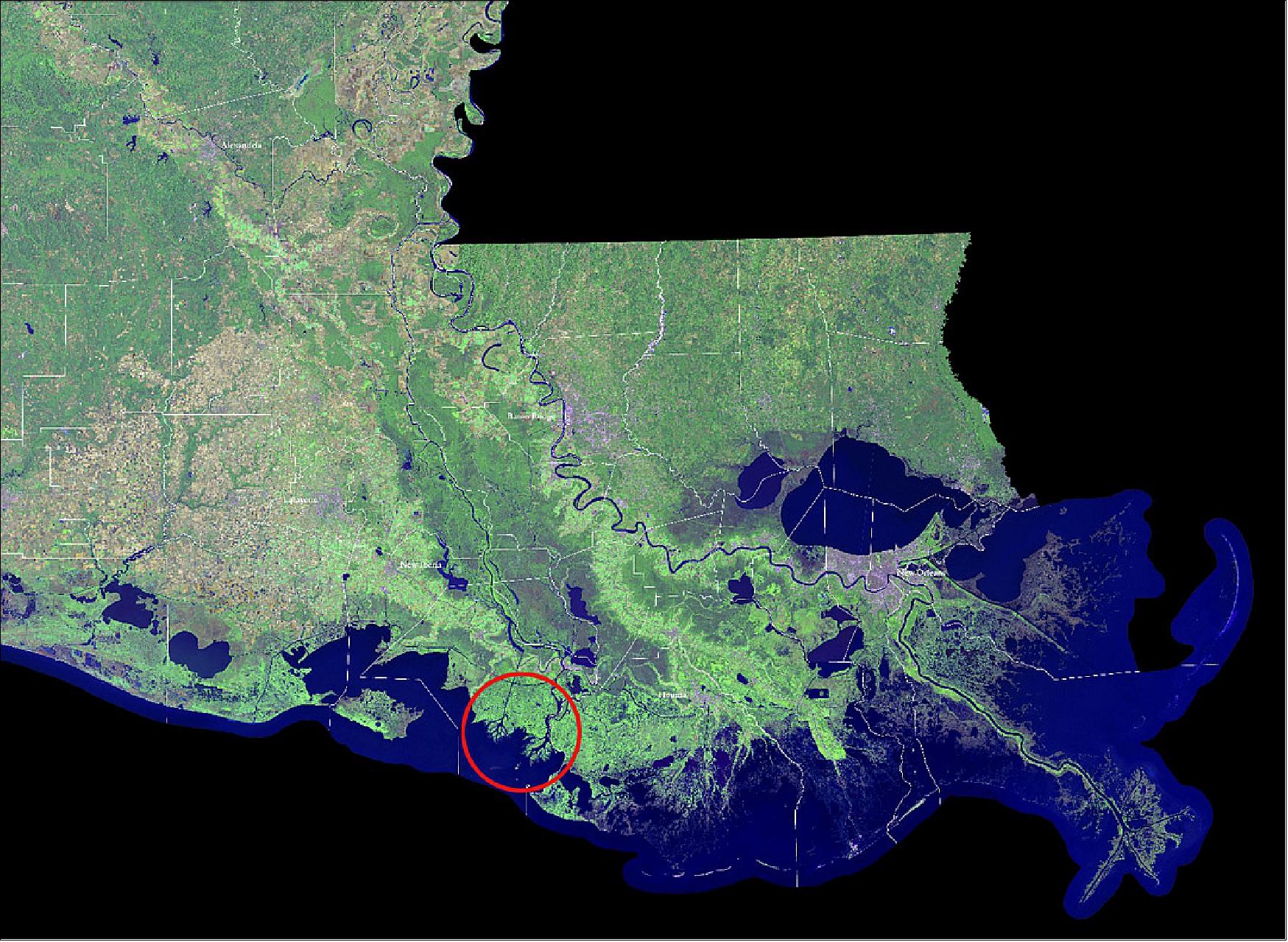 Figure 42: Satellite view of the Louisiana coastline with the studied areas of the Atchafalaya River Delta and Wax Lake Outlet, circled in red. The Mississippi River is the long meandering blue line, farthest right (east), image credit: USGS, NASA)