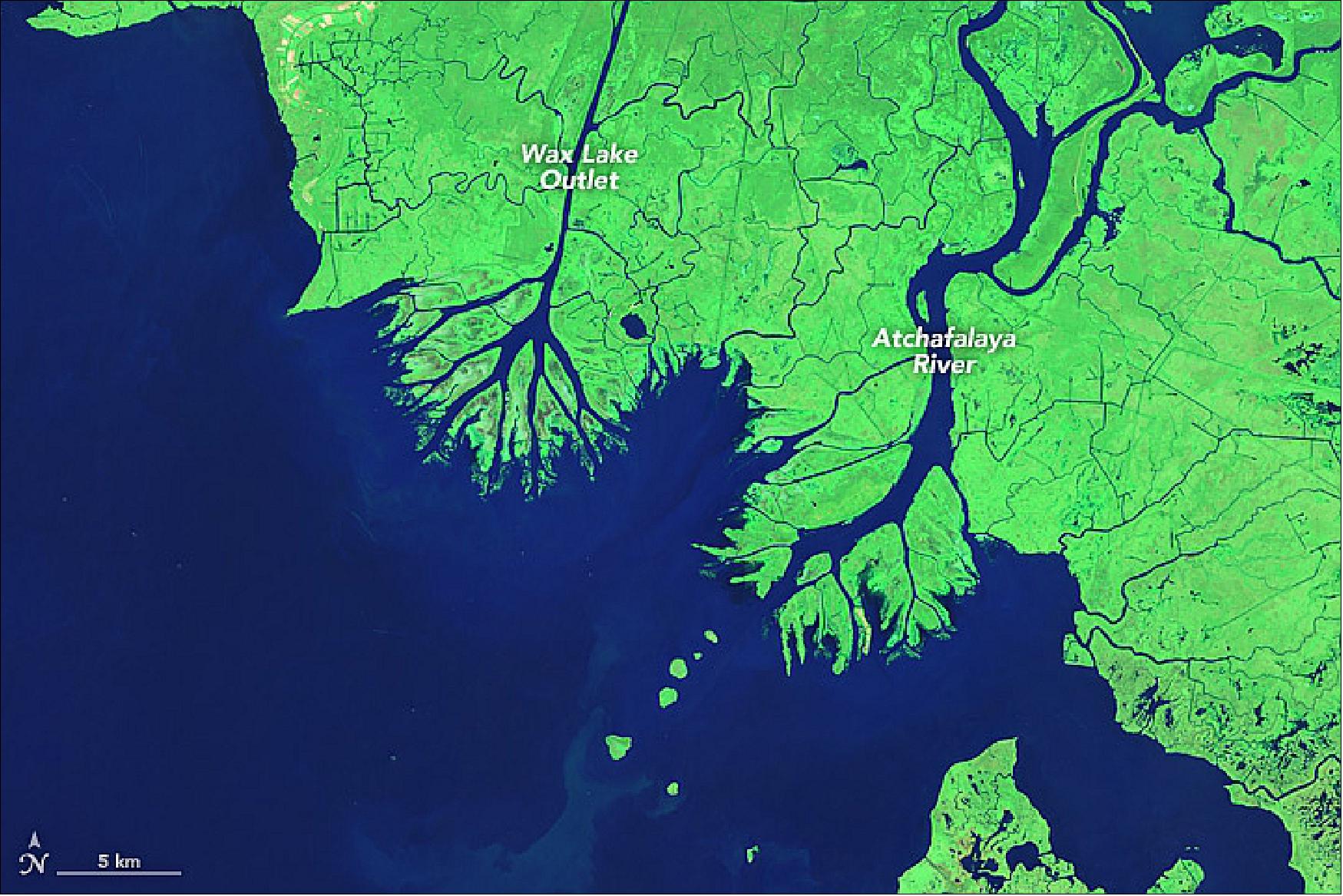 Figure 41: The Atchafalaya River Delta and Wax Lake Outlet, acquired by Landsat-7 on Oct. 12, 2015 (image credit: NASA)