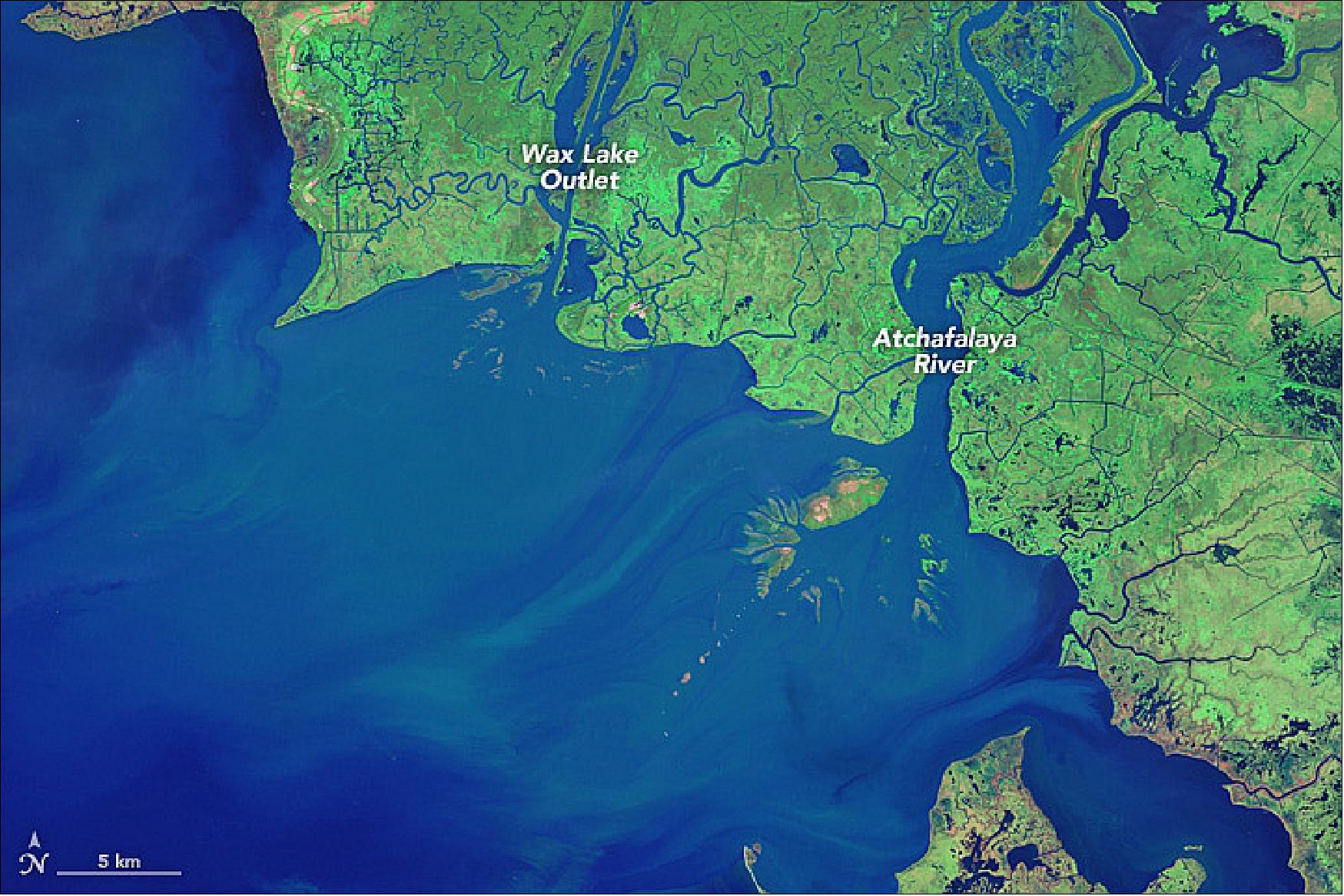 Figure 40: The Atchafalaya River Delta and Wax Lake Outlet, acquired by Landsat-5 on Nov. 4, 1984 (image credit: NASA)