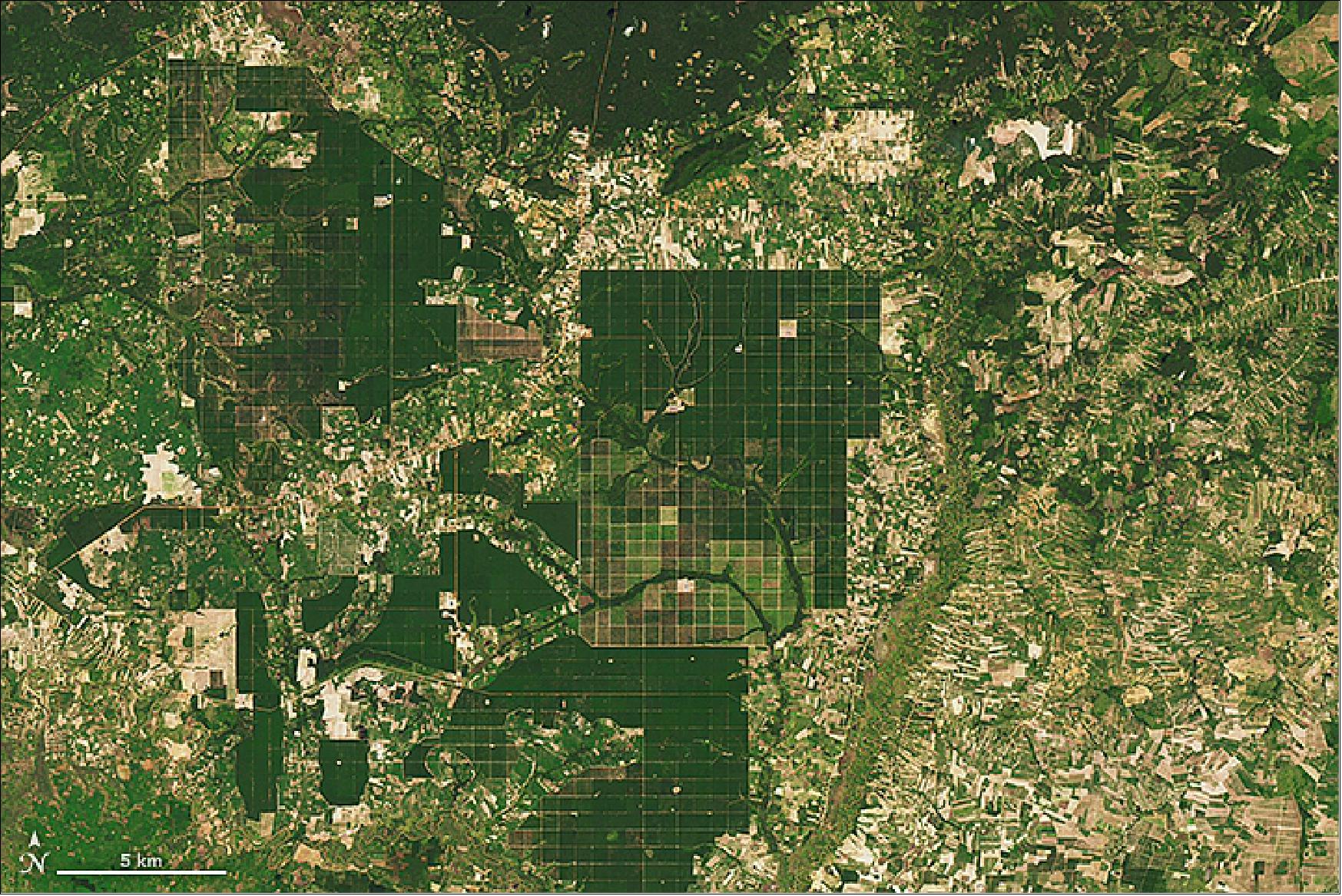 Figure 36: Landsat-8 OLI image of the same region in Cambodia, acquired on October 30, 2015 (image credit: NASA Earth Observatory, image by Joshua Stevens, using Landsat data from the USGS)