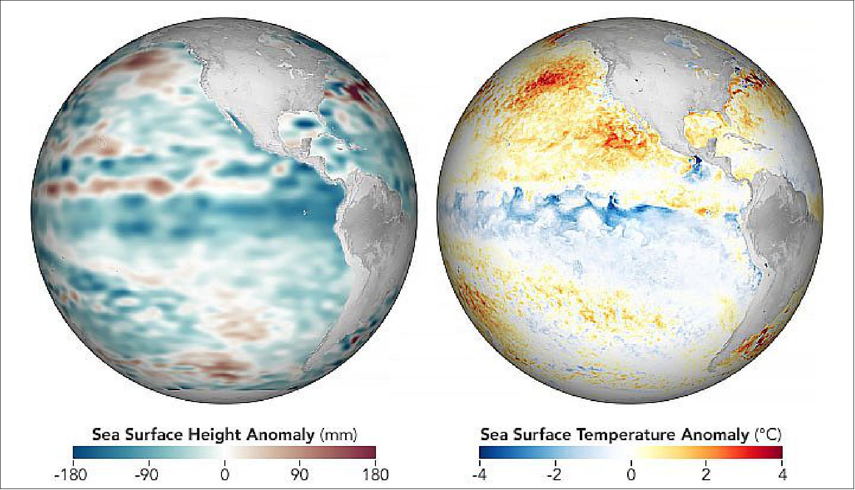 Figure 7: The current La Niña event fits into a larger climate pattern that has been going on for nearly two decades. The maps show conditions across the central and eastern Pacific Ocean as observed on November 25, 2020, and analyzed by JPL scientists. The globe on the left depicts sea surface height anomalies measured by the Jason-3 satellite. Shades of blue indicate sea levels that were lower than average; normal sea-level conditions appear white; and reds indicate areas where the ocean stood higher than normal. The expansion and contraction of the surface is a good proxy for ocean temperatures because warmer water expands to fill more volume, while cooler water contracts. The second globe shows sea surface temperature (SST) data from the Multiscale Ultrahigh Resolution Sea Surface Temperature (MUR SST) project. MUR SST blends measurements of sea surface temperatures from multiple NASA, NOAA, and international satellites, as well as ship and buoy observations. (Scientists also use instruments floating within the sea to project underwater temperatures.) [image credit: NASA Earth Observatory image by Joshua Stevens, using data from the Multiscale Ultrahigh Resolution (MUR) project and sea surface height analyses courtesy of Akiko Hayashi/NASA/JPL-Caltech. Story by Michael Carlowicz]