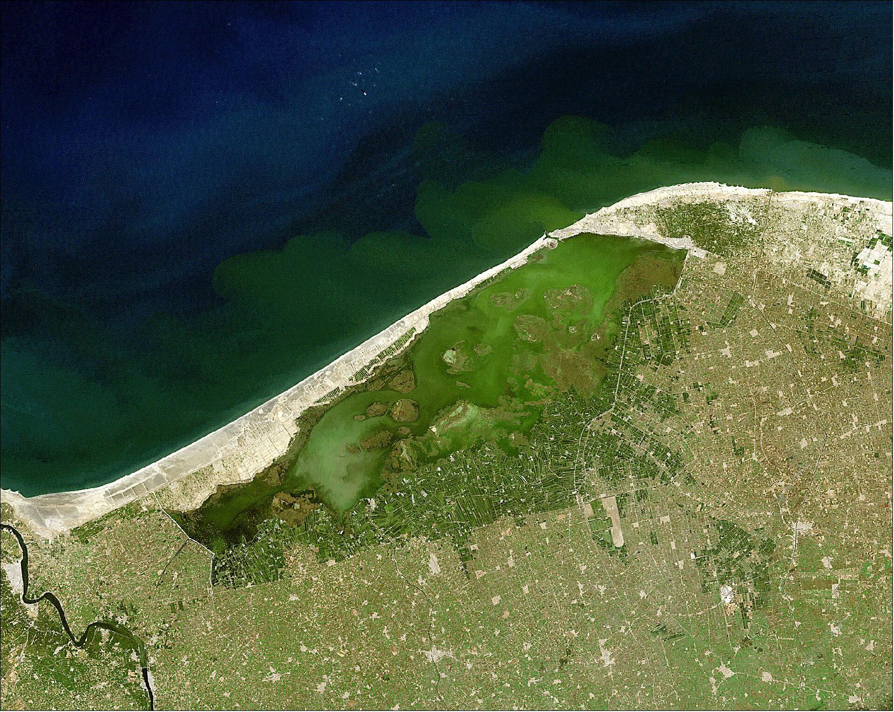 Figure 14: Landsat-7 image of Egypt’s Lake Burullus, acquired on 18 October 2012 (image credit: USGS/ESA)