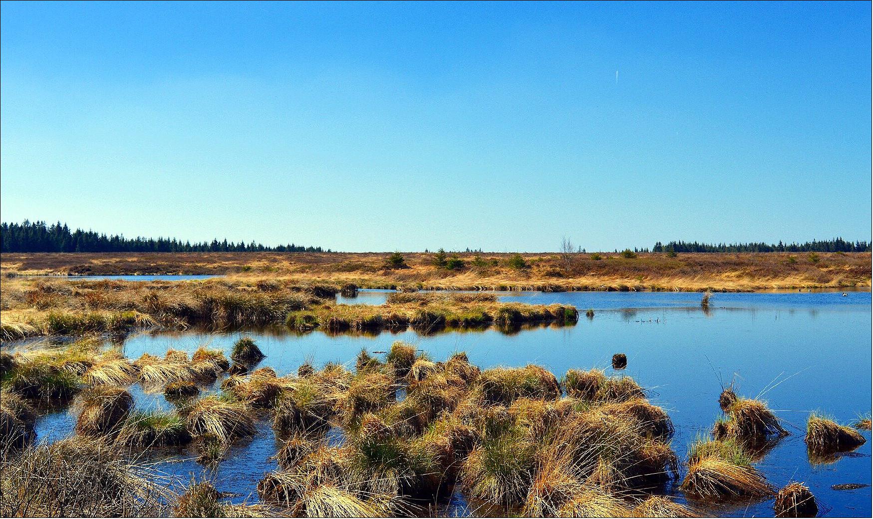 Figure 1: Earth observation is vital in monitoring wetland waters- a typical wetland scene