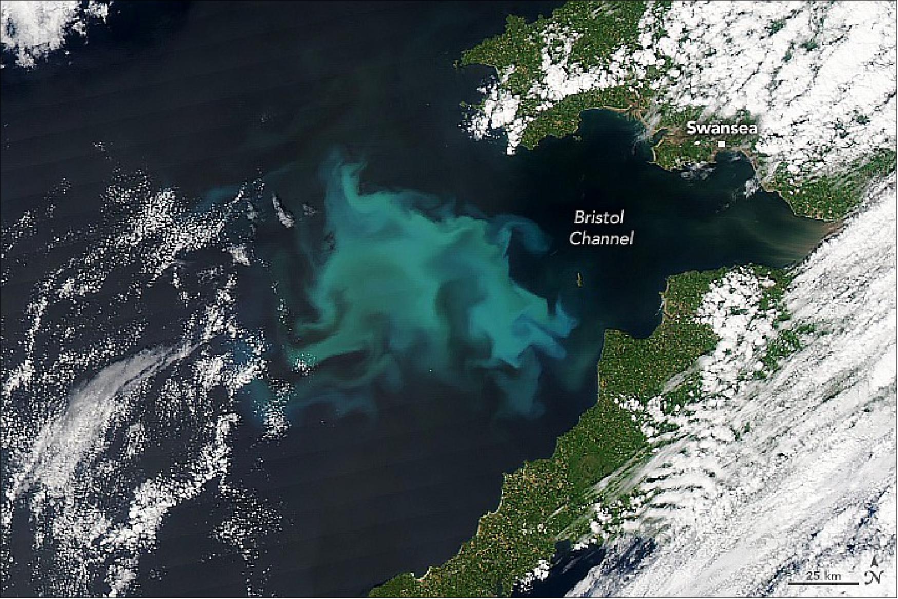 Figure 12: Hints of a bloom here first appeared in mid-May, as revealed by two weeks of data from the MODIS instrument on Aqua. (The waters off the southwest coast of Ireland have also been blooming.) The various swirls and shapes in the bloom trace the movements of currents, eddies, and tides (image credit: NASA Earth Observatory image by Lauren Dauphin, using MODIS data from NASA EOSDIS LANCE and GIBS/Worldview. Story by Michael Carlowicz, with reporting from Joanna Howl, NASA MODIS team)