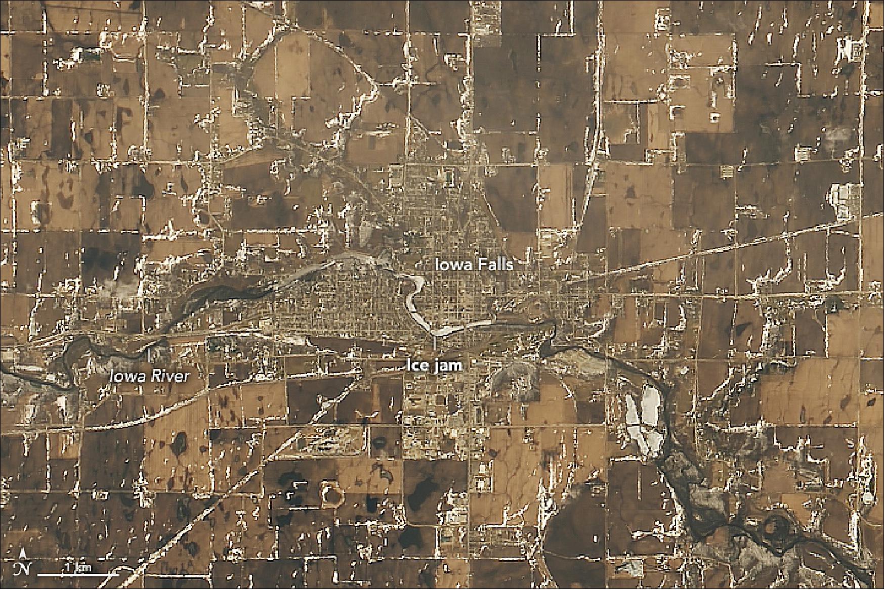 Figure 96: Landsat image showing an ice jam in the Iowa River near Iowa Falls acquired with OLI on 18 March 2019 (image credit: NASA Earth Observatory, image by Lauren Dauphin, using Landsat data from the U.S. Geological Survey. Story by Adam Voiland)