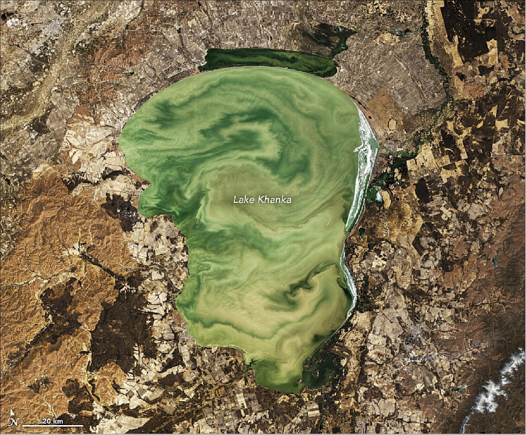 Figure 71: Lake Khanka straddles the Sino-Russian border in the Far East about 160 kilometers north of Vladivostok. It is a very shallow lake prone to wind-driven sediment resuspension. This image was collected by OLI on Landsat-8 on April 12, 2019 (image credit: NASA Earth Observatory, image by Norman Kuring, NASA’s Ocean Color web, and Lauren Dauphin. Story by Kasha Patel)