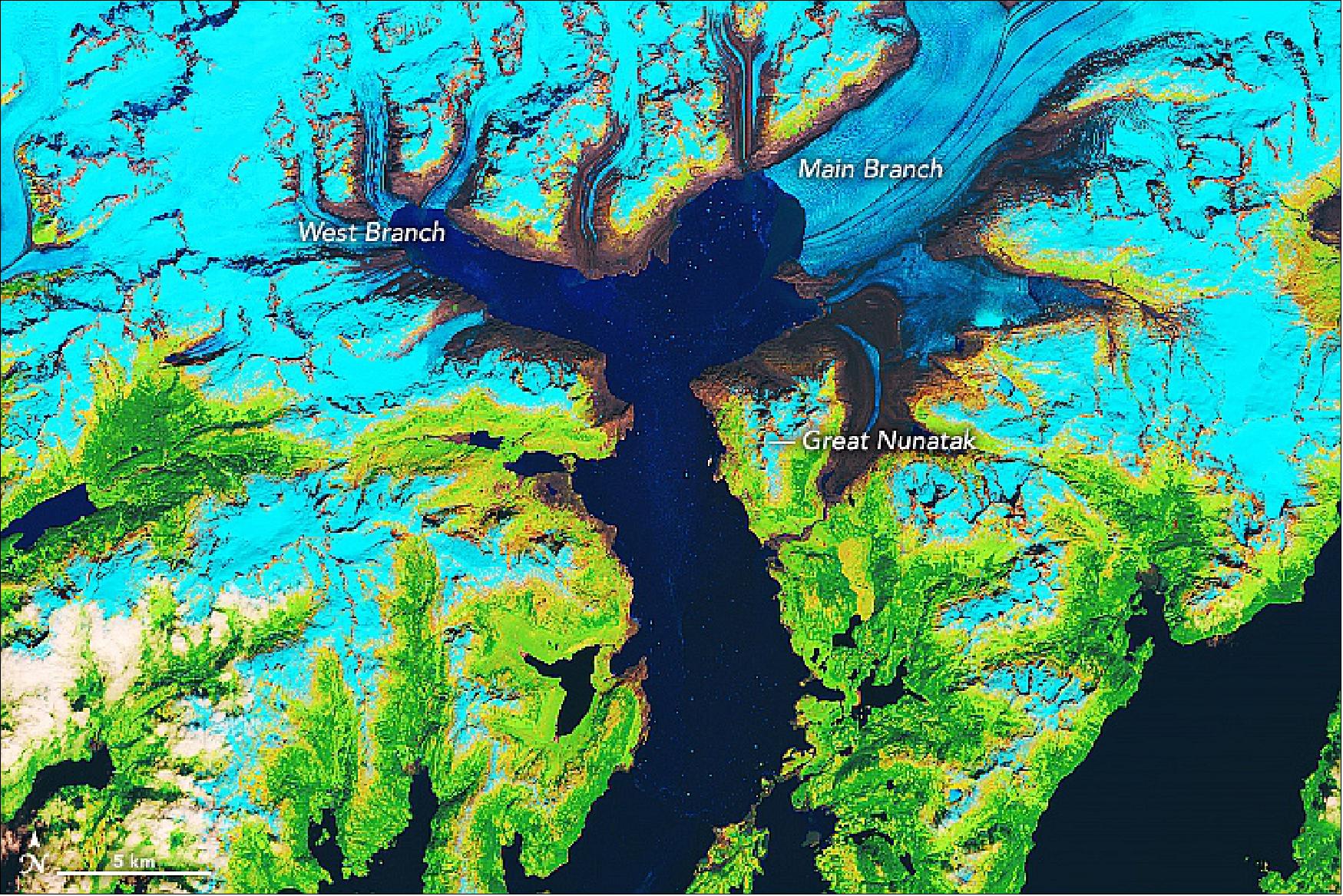 Figure 40: This false-color image of the same scene helps to differentiate between snow and ice (bright cyan) and other components of the landscape such as open water (dark blue). Vegetation is green and exposed bedrock is brown, while rocky debris on the glacier’s surface is gray (image credit: NASA Earth Observatory, image by Lauren Dauphin, using Landsat data from the U.S. Geological Survey. Story by Kathryn Hansen)