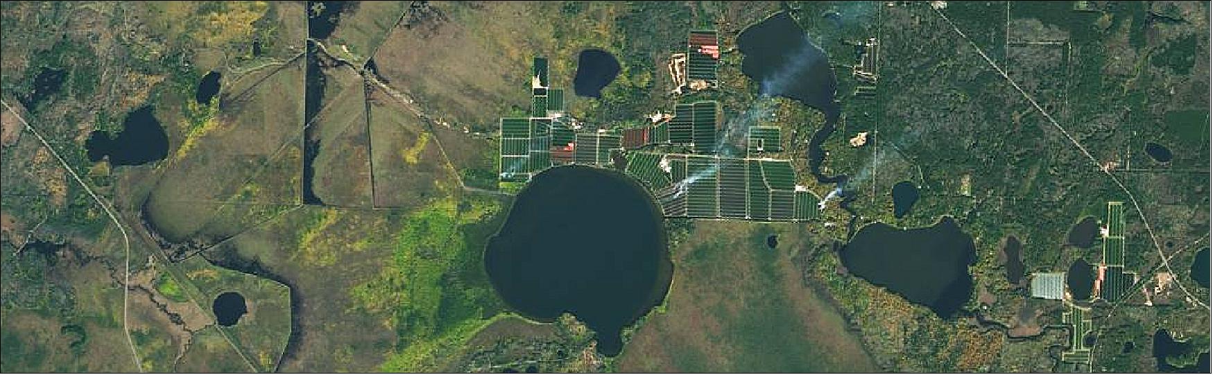 Figure 11: View of cranberry bogs above Little Trout Lake in northern Wisconsin on Oct. 18, 2018, from NASA-USGS Landsat-8 data. Some of the cranberries have turned bright red and are ready for harvesting (image credit: NASA)