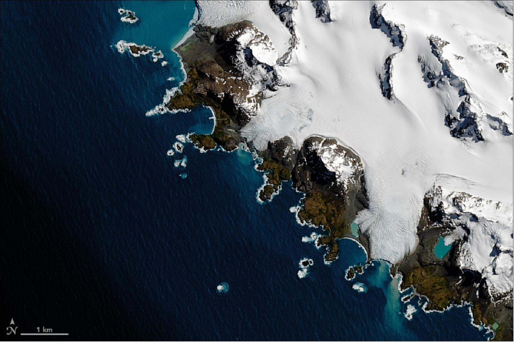 Figure 103: Detail image of the southern tip of the island. The discolored water near the shore is possibly due to phytoplankton blooms or sediments from the island mixing into the sea. The southernmost point has the quirky name “Cape Disappointment,” a label given by Cook when he realized he had not reached Antarctica (image credit: NASA Earth Observatory, image by Joshua Stevens, using Landsat data from the U.S. Geological Survey, story by Kasha Patel)