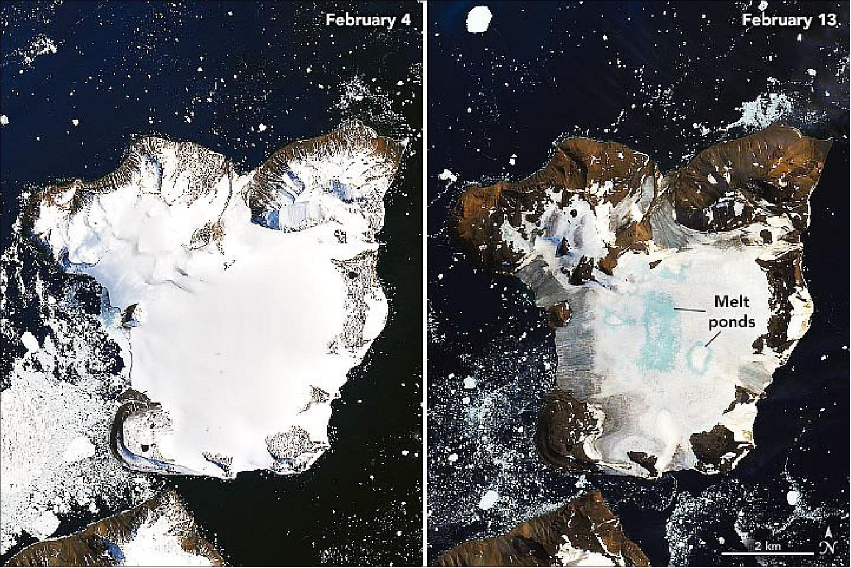 Figure 117: The warm temperatures arrived on February 5 and continued until February 13, 2020. The images above show melting on the ice cap of Eagle Island and were acquired by the Operational Land Imager (OLI) on Landsat-8 on February 4 and February 13, 2020 (image credit: NASA Earth Observatory, images by Joshua Stevens, using Landsat data from the U.S. Geological Survey, Story by Kasha Patel)