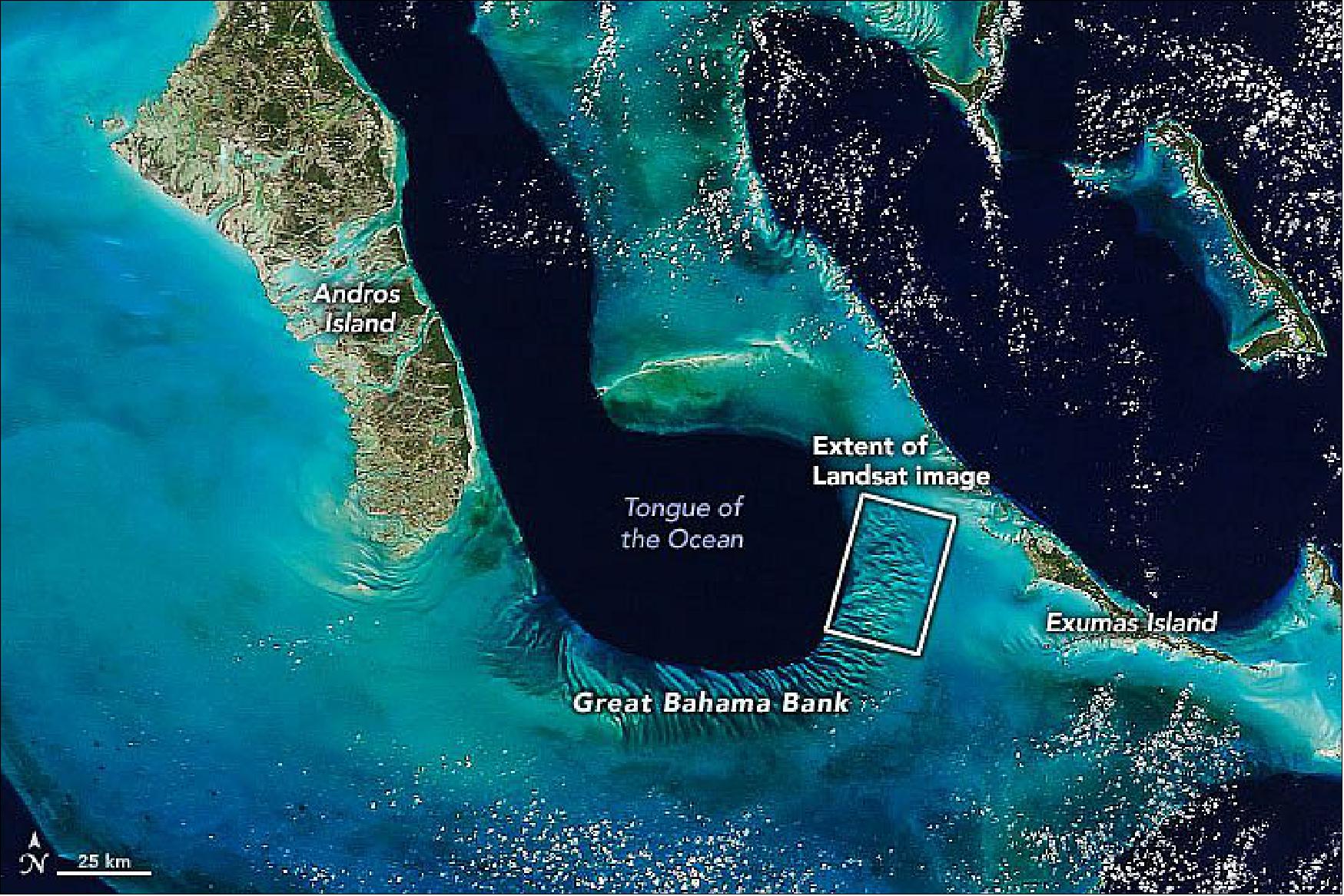 Figure 87: This image was acquired on 4 April 2020, by the Moderate Resolution Imaging Spectroradiometer (MODIS) on NASA’s Terra satellite, providing an overview of the region (image credit: NASA Earth Observatory, using MODIS data from NASA EOSDIS/LANCE and GIBS/Worldview, Story by Kasha Patel)