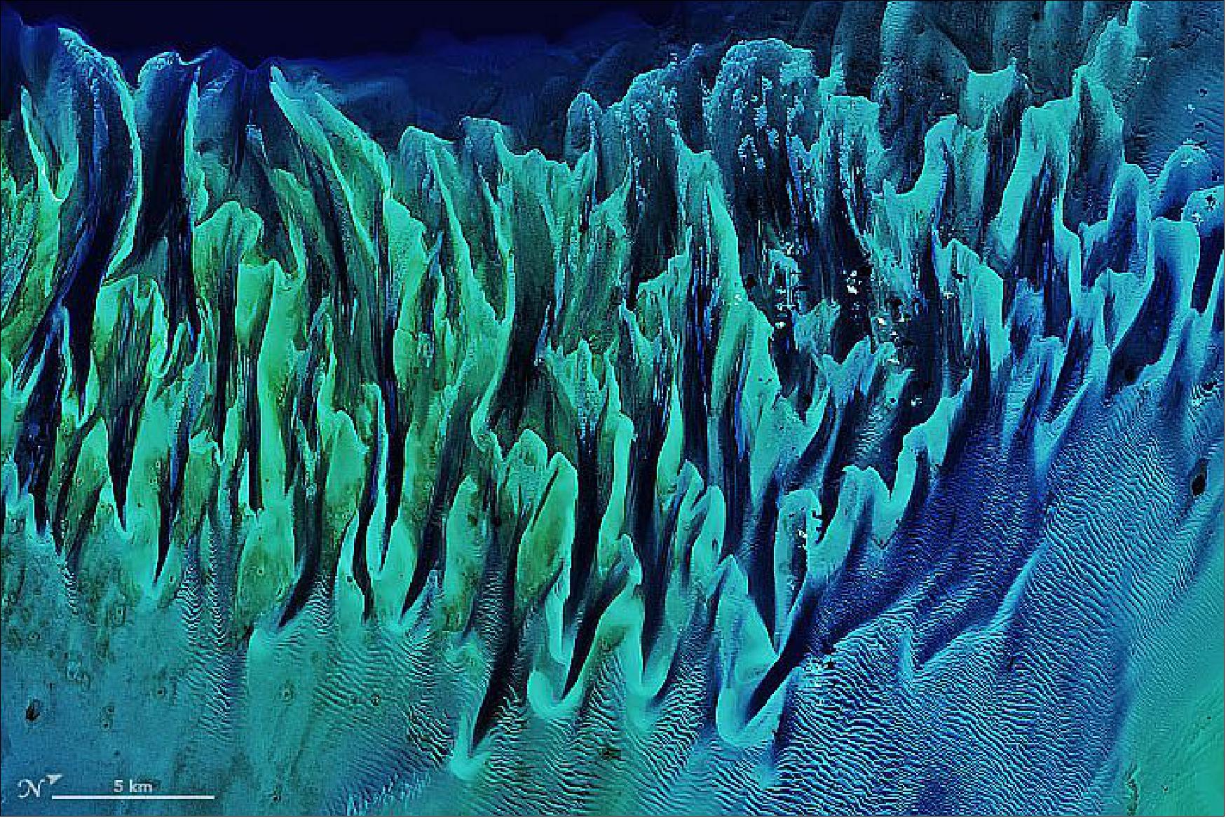 Figure 86: The area appeared largely the same when Landsat-8 passed over on February 15, 2020 (image credit: NASA Earth Observatory)