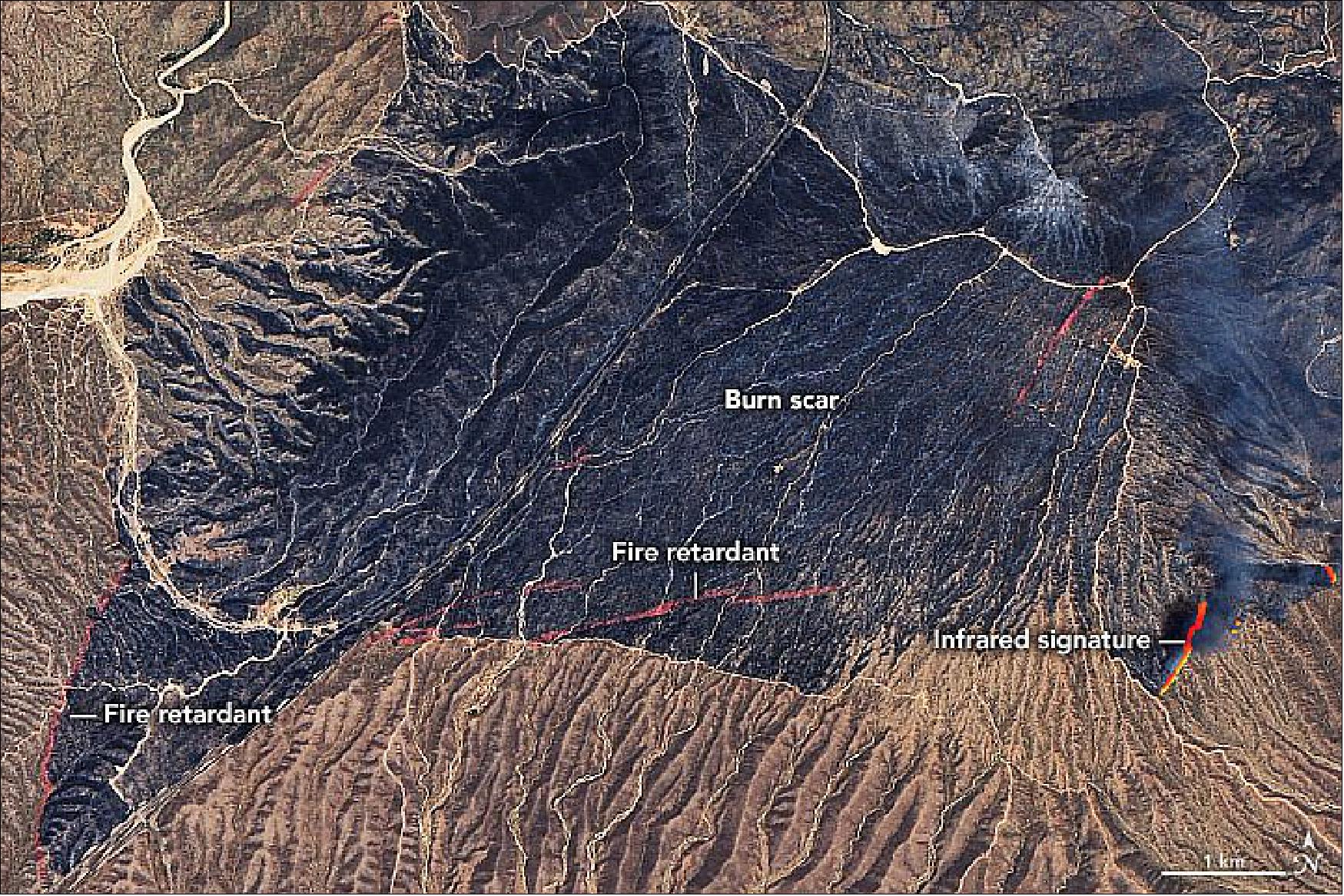 Figure 74: The satellite images (Figures 74 and 75) show the Bush Fire burn scar and some active fire fronts as they appeared on June 14, 2020. The images were acquired by the Operational Land Imager (OLI) on Landsat 8. The images blend natural-color (OLI bands 4-3-2) with the thermal infrared signature of actively burning fires (bands 6 and 5). This combination makes it easier to see still-active fire lines through the smoke. Scientists from the University of Wisconsin assembled this short animation of the fire spreading at night as observed by the NOAA-NASA Suomi NPP satellite (image credit: NASA Earth Observatory, images by Joshua Stevens, using Landsat-8 data from the U.S. Geological Survey. Story by Michael Carlowicz)