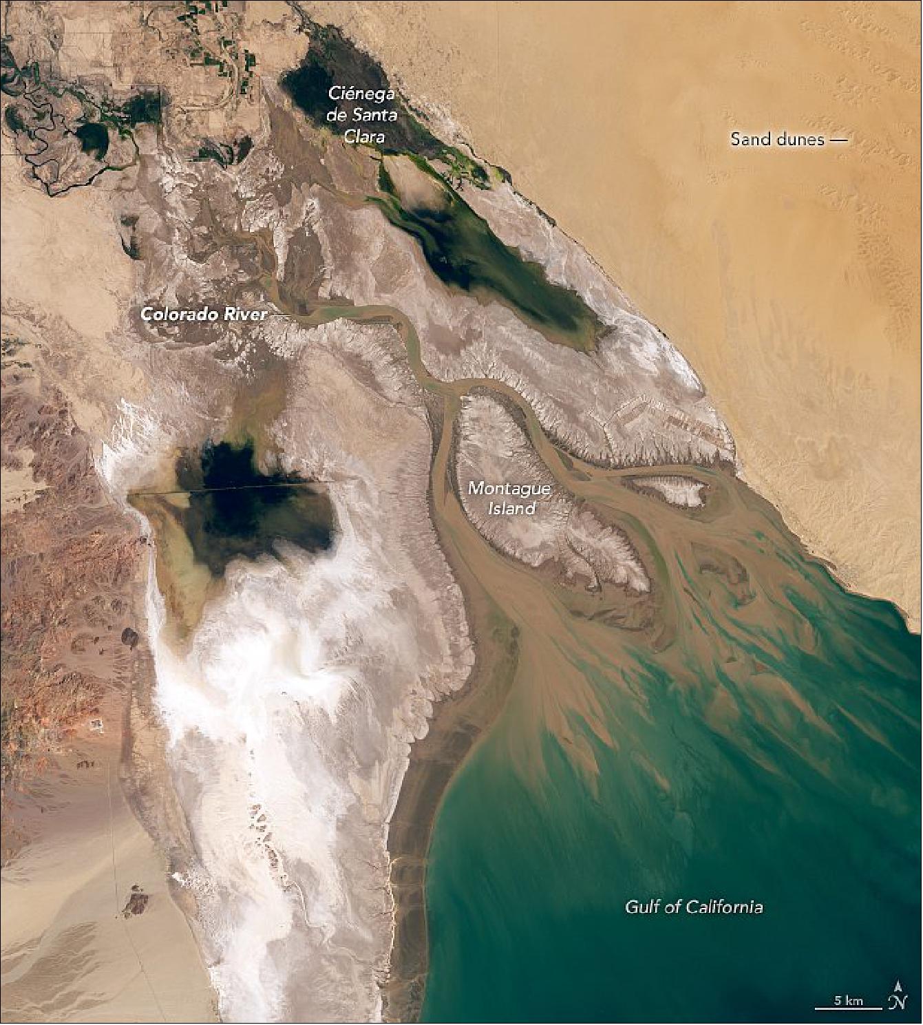 Figure 72: With so much of its water diverted, the Colorado River Delta has dried out and lost much of its vegetation and wildlife. In this natural-color satellite image, the dendritic tidal creeks that flow into the gulf and tidal mudflats look like spindly fingers reaching into the sea. White salt flats and brown, shifting dune fields of the Sonoran Desert flank the delta and Montague Island. The Operational Land Imager (OLI) on Landsat-8 acquired the image on March 20, 2020 (image credit: NASA Earth Observatory images by Lauren Dauphin, using Landsat data from the U.S. Geological Survey. Story by Adam Voiland)