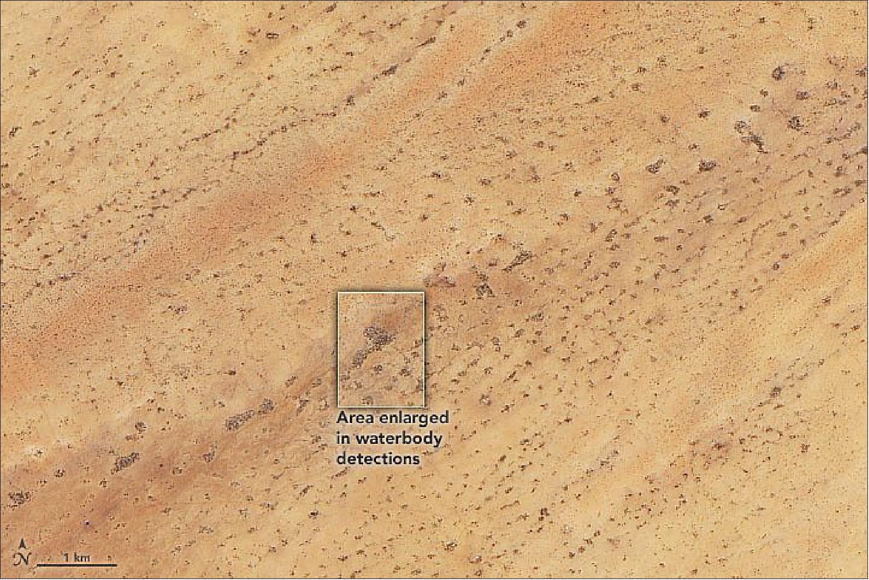 Figure 67: This Landsat-8 image shows how difficult it can be to distinguish between watering holes and bare ground in natural-color satellite imagery. Researchers use an image-analysis technique that makes use of near-infrared observations, which are particularly useful for distinguishing between dry and wet surfaces because water strongly absorbs near-infrared light (image credit: NASA Earth Observatory, images by Joshua Stevens, using data courtesy of Vikalp Mishra/NASA Marshall Space Flight Center and Planet Labs, and Landsat data from the U.S. Geological Survey. The SERVIR Global team working on this project includes people from NASA, Agro-Meteorology, Hydrology, and Meteorology (AGRHYMET), Veterinarians without Borders, and the Centre de Suivi Ecologique (CSE). Story by Adam Voiland)