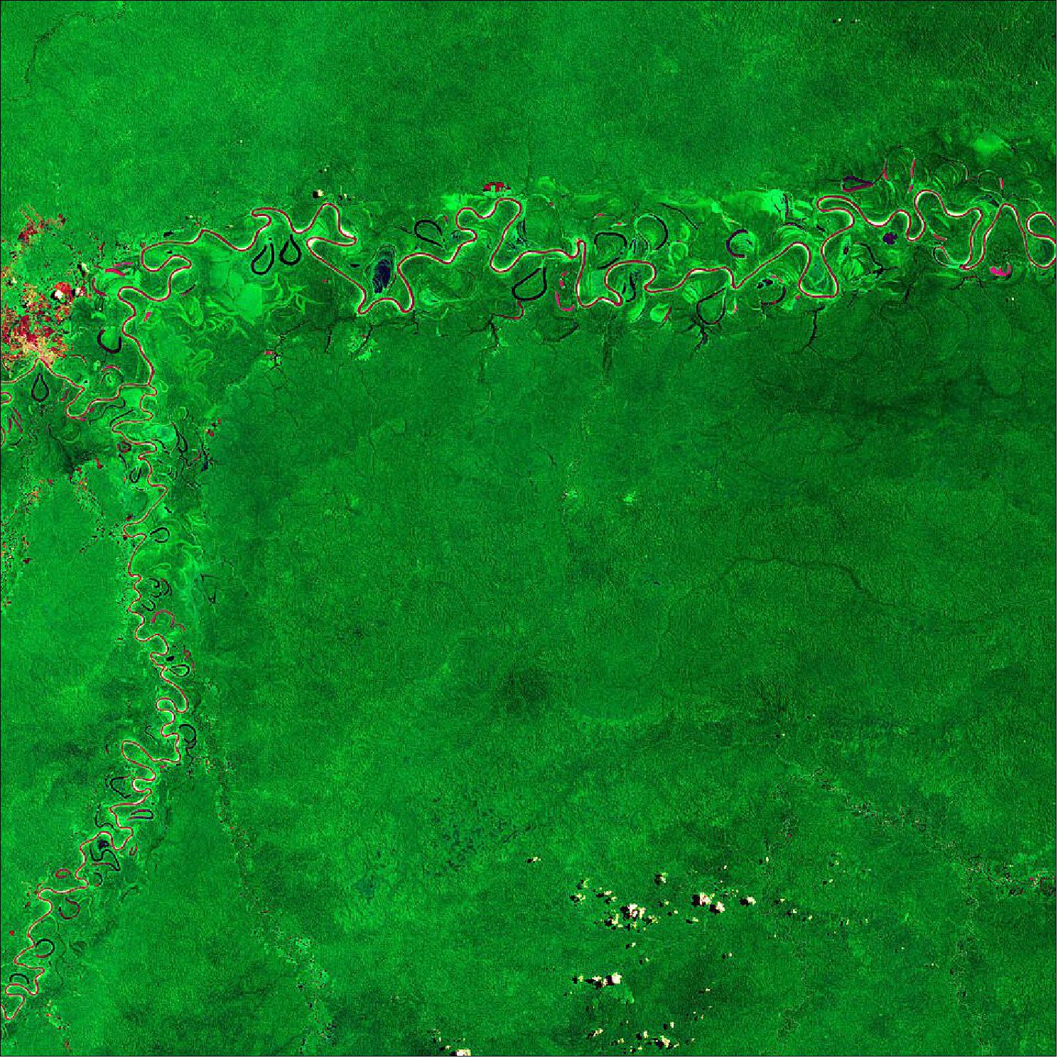 Figure 66: This image has been processed using the infrared channel of the Sentinel-2 satellite which makes the dense rainforest appear in bright green. This makes differences in vegetation coverage more evident than only using the visible channels of the satellite that our eyes are able to see. In this image, the Juruá River, the most-winding river in the Amazon basin, is visible. The river appears in shades of maroon and magenta as the reflected sunlight from the water’s surface consists of a mix of mainly blue and green, while the reflection in the near infrared is almost zero – leading to the colors we see here. This image is also featured on the Earth from Space video program (image credit: ESA, the image contains modified Copernicus Sentinel data (2019), processed by ESA, CC BY-SA 3.0 IGO)