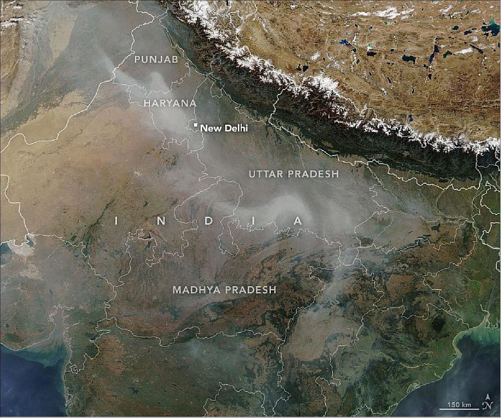 Figure 3: Satellite data indicates that paddy fires were quite numerous this year, particularly in the state of Punjab. The Visible Infrared Imaging Radiometer Suite (VIIRS) sensor on the Suomi NPP satellite made nearly 87,000 active fire detections through mid-November across four rice-growing states in the region—Punjab, Haryana, Madhya Pradesh, and Uttar Pradesh. That is the second most the sensor has observed for the post-monsoon period since VIIRS first collected data in 2012. About 80 percent of the fires in 2020 occurred in Punjab (NASA Earth Observatory images by Lauren Dauphin, using MODIS data from NASA EOSDIS/LANCE and GIBS/Worldview and Fire Information for Resource Management System (FIRMS) data from NASA EOSDIS)