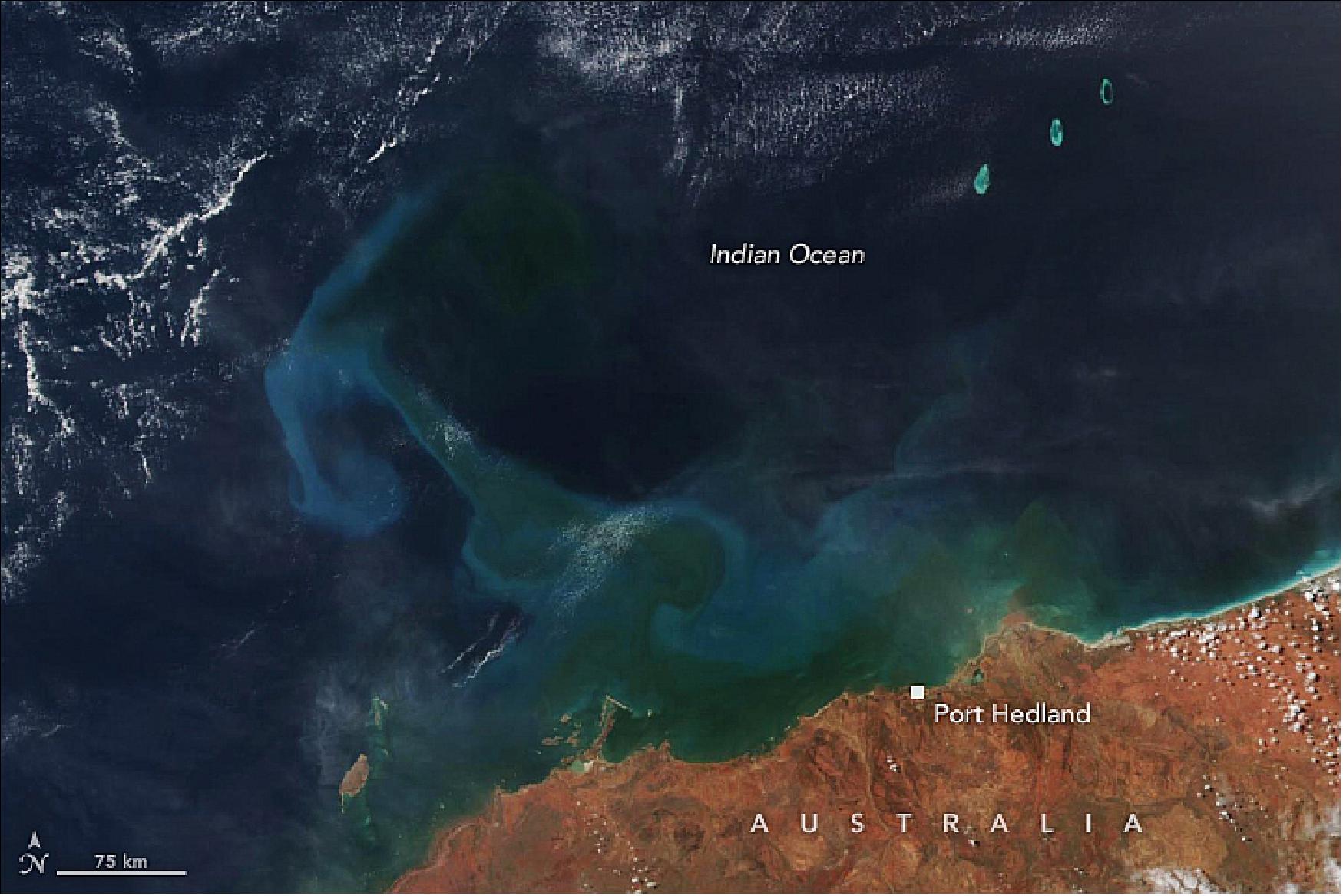 Figure 54: This image shows discolored water offshore from Port Hedland on March 29, 2019, as observed by the Visible Infrared Imaging Radiometer Suite (VIIRS) instrument on Suomi NPP. The satellite imagery shows what is likely a combination of suspended sediment and phytoplankton blooms appearing by March 27 and continuing through April 2, 2019 (image credit: NASA Earth Observatory, image by Lauren Dauphin, using VIIRS data from the Suomi National Polar-orbiting Partnership data from NASA EOSDIS/LANCE. Story by Kasha Patel)