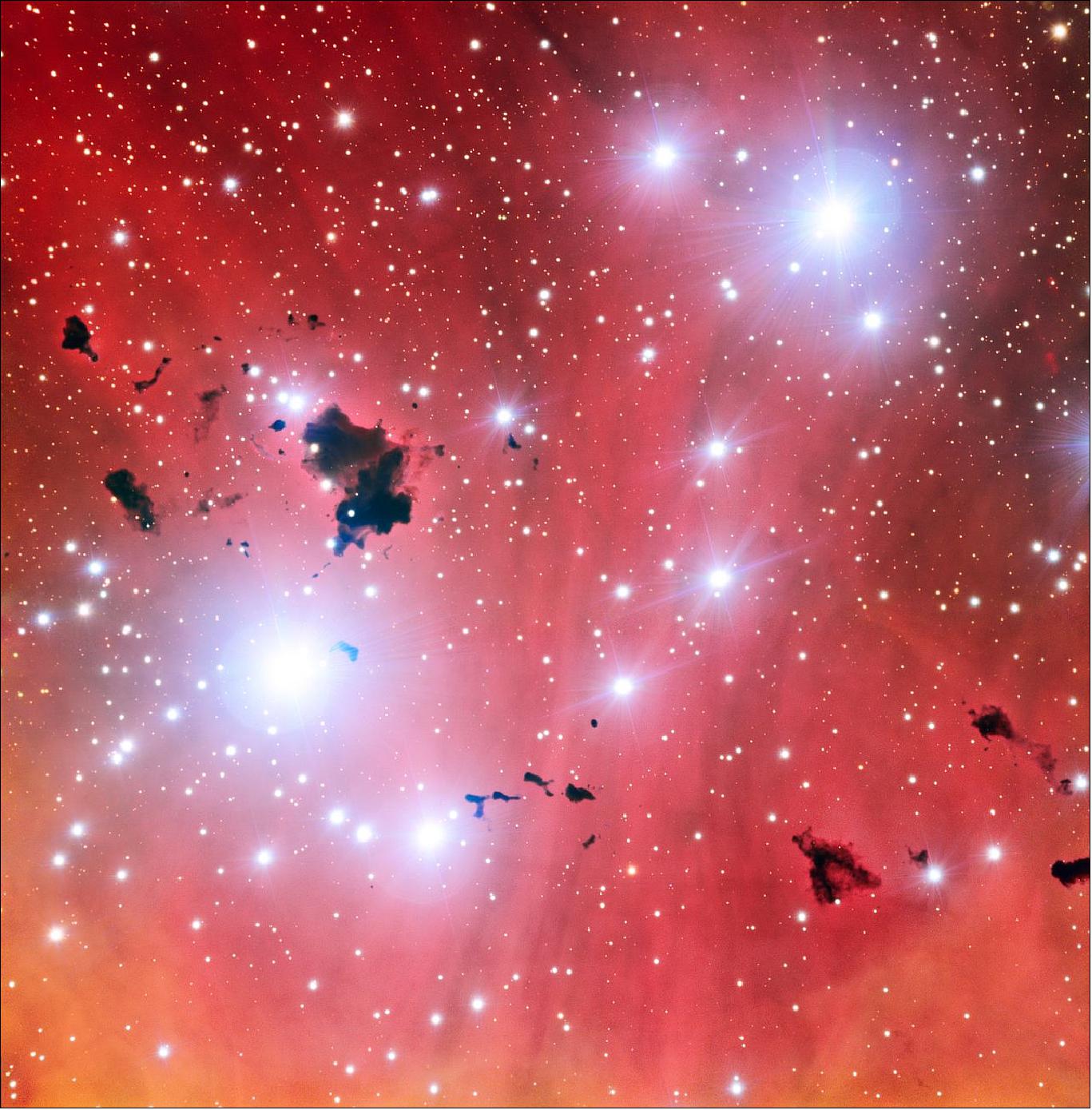 Figure 99: This intriguing new view of a spectacular stellar nursery IC 2944 is being released to celebrate a milestone: 15 years of ESO’s Very Large Telescope. This image also shows a group of thick clouds of dust known as the Thackeray globules silhouetted against the pale pink glowing gas of the nebula. These globules are under fierce bombardment from the ultraviolet radiation from nearby hot young stars. They are both being eroded away and also fragmenting, rather like lumps of butter dropped onto a hot frying pan. It is likely that Thackeray’s globules will be destroyed before they can collapse and form new stars (image credit: ESO) 146)