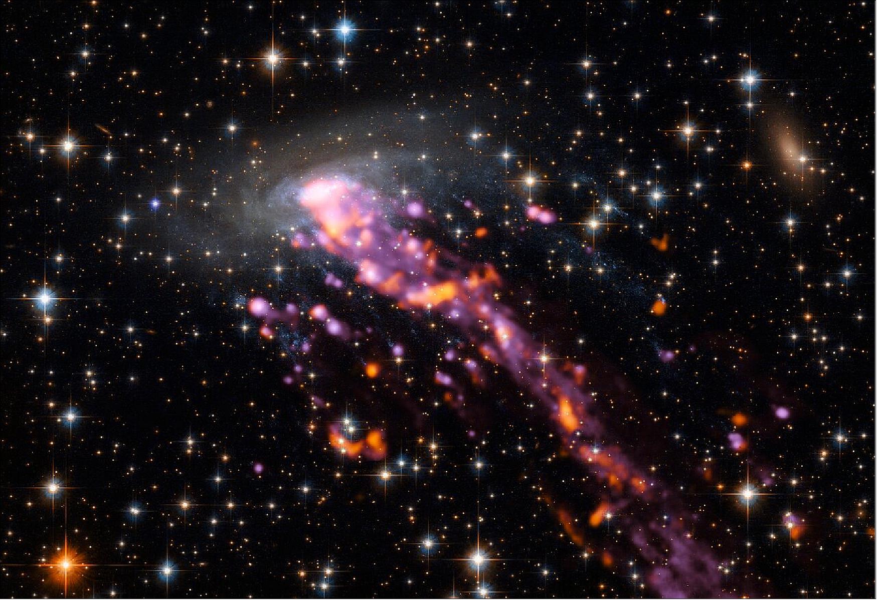 Figure 84: This celestial cnidarian is shown here in beautiful detail. The various elements making up this image were captured by different telescopes. The galaxy and its surroundings were imaged by the NASA/ESA Hubble Space Telescope; its tails, which trace streams of hydrogen and show up in hues of bright purple, by the MUSE instrument mounted on the VLT; and bright hotspots of carbon dioxide emission from within the system, which show up as flares of orange-red, were spotted by ALMA [image credit: ALMA (ESO/NAOJ/NRAO), P. Jachym (Czech Academy of Sciences) et al.]