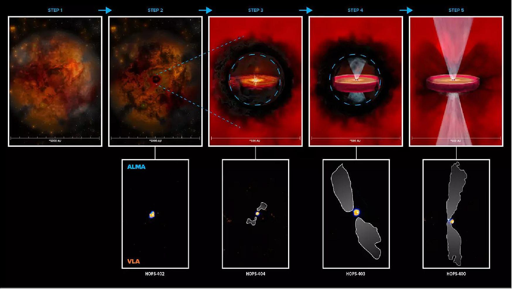 Figure 70: Schematic showing the formation of protostars: This schematic shows a proposed pathway (top row) for the formation of protostars, based on four very young protostars (bottom row) observed by VLA (orange) and ALMA (blue). Step 1 represents the collapsing fragment of gas and dust. In step 2, an opaque region starts to form in the cloud. In step 3, a hydrostatic core starts to form due to an increase in pressure and temperature, surrounded by a disk-like structure and the beginning of an outflow. Step 4 depicts the formation of a class 0 protostar inside the opaque region, that may have a rotationally supported disk and more well-defined outflows. Step 5 is a typical class 0 protostar with outflows that have broken through the envelope (making it optically visible), an actively accreting, rotationally supported disk. In the bottom row, white contours are the protostar outflows as seen with ALMA (image credit: ALMA (ESO/NAOJ/NRAO), N. Karnath; NRAO/AUI/NSF, B. Saxton and S. Dagnello)