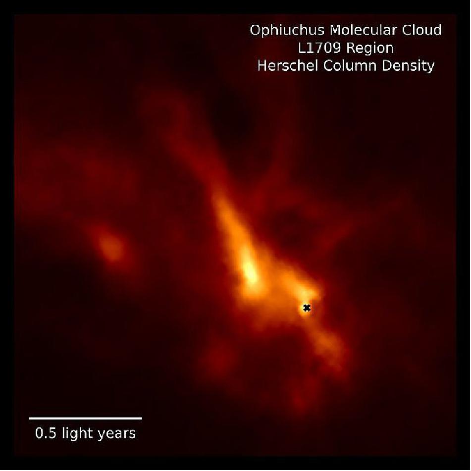 Figure 49: The dense L1709 region of the Ophiuchus Molecular Cloud, mapped by the Herschel Space Telescope, which surrounds and ... [more], image credit: MPE, D. Segura-Cox, Herschel data from ESA/Herschel/SPIRE/PACS/D. Arzoumanian)