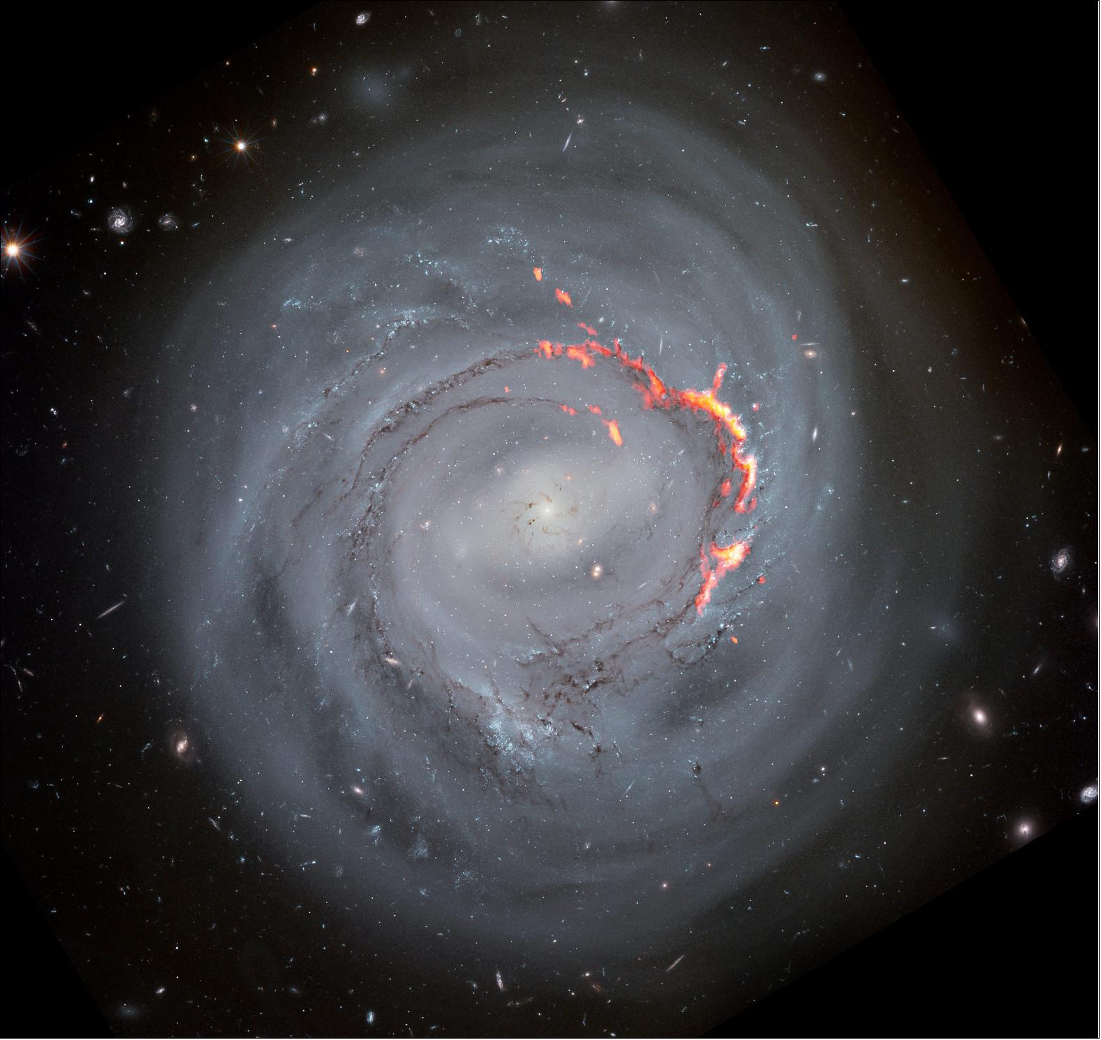 Figure 33: Shown here in composite view, ALMA data (red/orange) reveals filament structures left behind by ram pressure stripping in a Hubble Space Telescope optical view of NGC4921. Scientists believe that these filaments are formed as magnetic fields in the galaxy prevent some matter from being stripped away [image credit: ALMA (ESO/NAOJ/NRAO)/S. Dagnello (NRAO), NASA/ESA/Hubble/K. Cook (LLNL), L. Shatz]