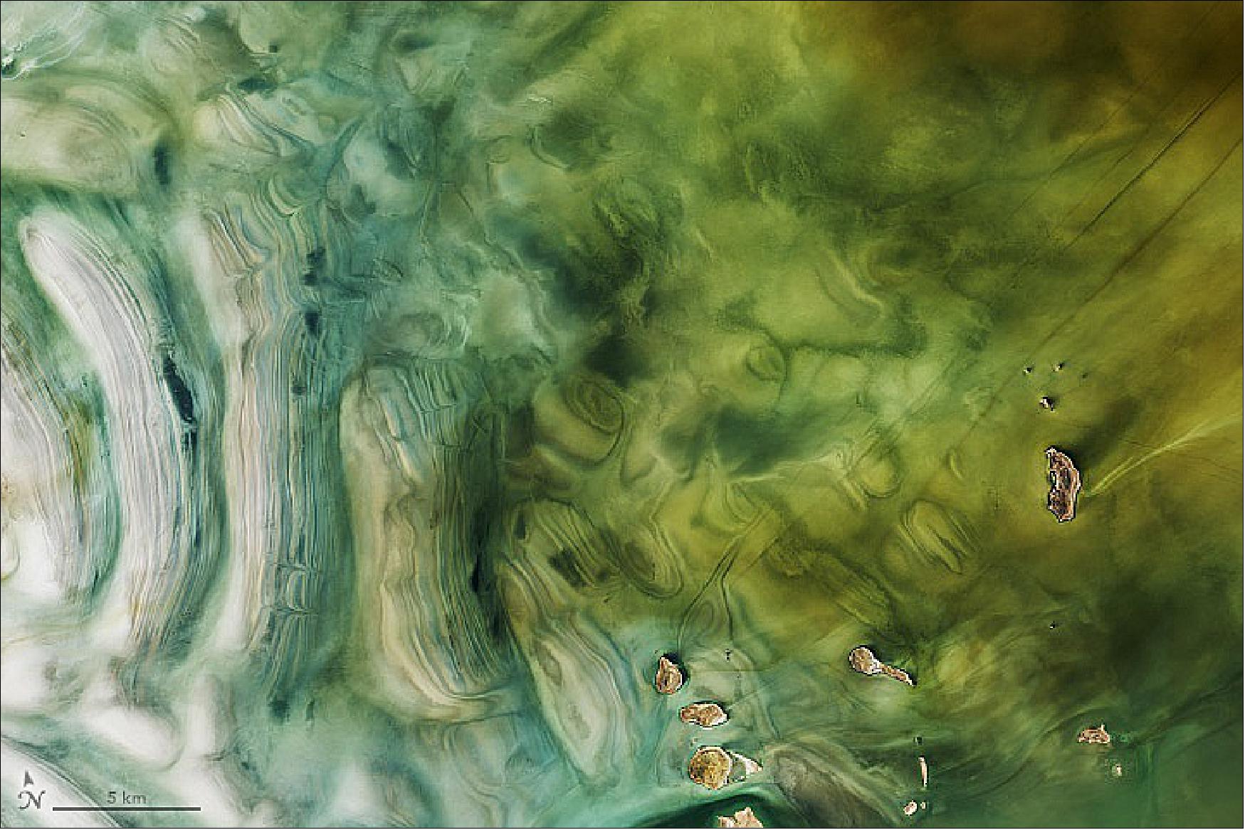 Figure 38: Landsat-8 (OLI) detail image of Figure 37 (image credit: NASA Earth Observatory)