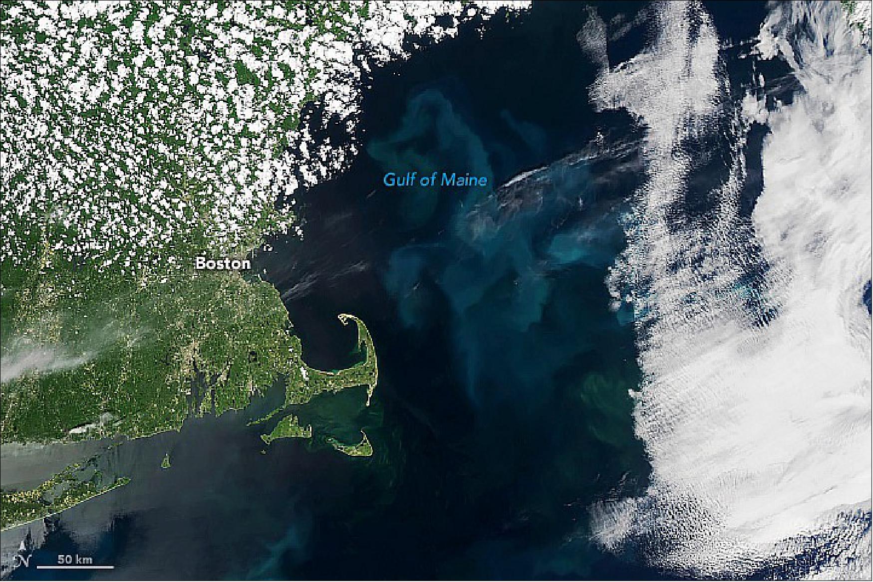 Figure 10: The natural-color image shows the northwest Atlantic Ocean blooming with phytoplankton on June 5, 2022, as observed by the Moderate Resolution Imaging Spectroradiometer on NASA’s Aqua satellite (image credit: NASA Earth Observatory image by Lauren Dauphin, using MODIS data from NASA EOSDIS LANCE and GIBS/Worldview. Story by Roberto Molar-Candanosa, NASA’s Earth Science News Team)