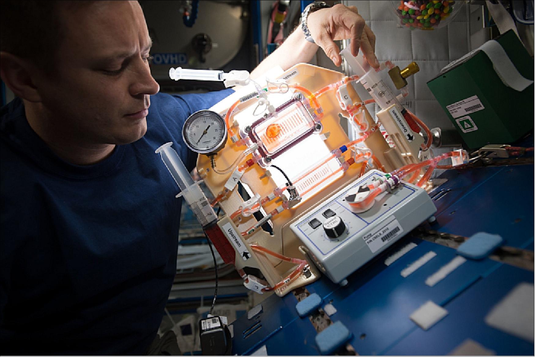 Figure 51: NASA astronaut Jack Fischer sets up hardware for the Capillary Structures investigation into ways to manage fluid and gas mixtures for water recycling and carbon dioxide removal. Results benefit design of lightweight, more reliable life support systems for future space missions (image credit: NASA)
