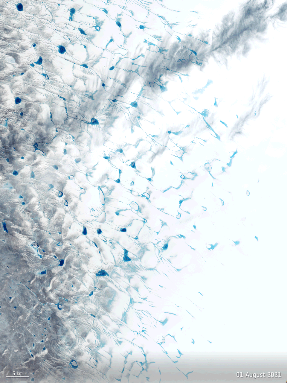 Figure 18: Meltwater and surface lakes on the Greenland ice sheet. For the first time ever recorded, in the late summer of 2021, rain fell on the high central area of the Greenland ice sheet. This extraordinary event was preceded by a heatwave and followed by the surface snow and ice rapidly melting. The animation is a series of five images captured by the Copernicus Sentinel-2 mission and shows how the surface of the ice sheet changed between on 1, 3 5, 20 and 23 August 2021. The melt, which also created lakes on the surface of the ice, is clear to see. Researchers, supported by ESA’s Science for Society programme, discovered that it wasn’t actually the rain that caused the melt, it was unusually warm ‘atmospheric rivers’ that swept along Greenland, bringing potent melt conditions when the melt season would normally be drawing to a close (image credit: ESA, the image contains modified Copernicus Sentinel data (2021), processed by ESA)