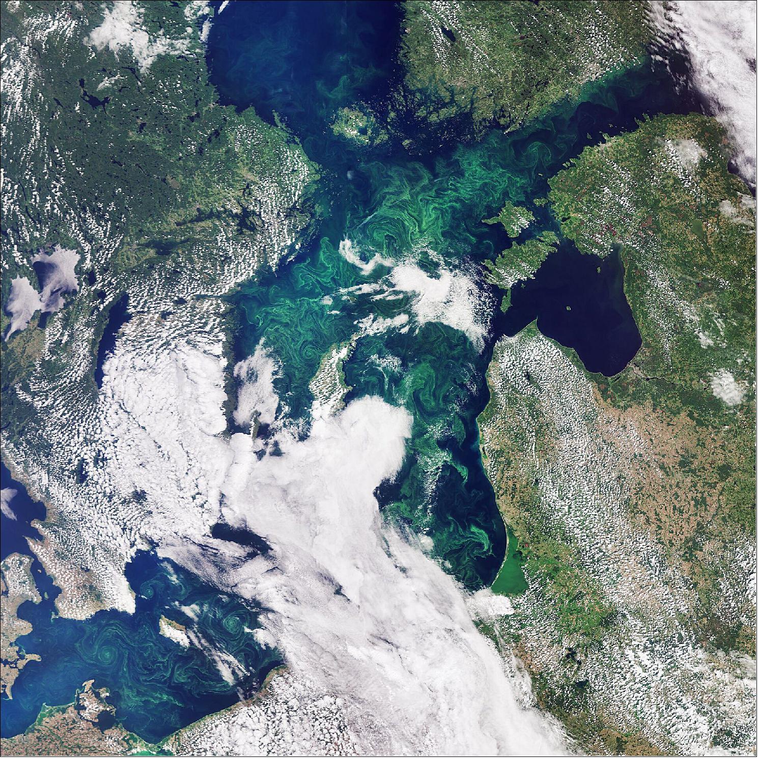 Figure 53: In this image, captured by the Copernicus Sentinel-3 mission, the green algae blooms swirling around the Baltic Sea are visible. The Baltic Sea faces many serious challenges, including toxic pollutants, deep-water oxygen deficiencies and toxic blooms of cyanobacteria affecting the ecosystem, aquaculture and tourism (image credit: ESA, the image contains modified Copernicus Sentinel data (2019), processed by ESA, CC BY-SA 3.0 IGO)
