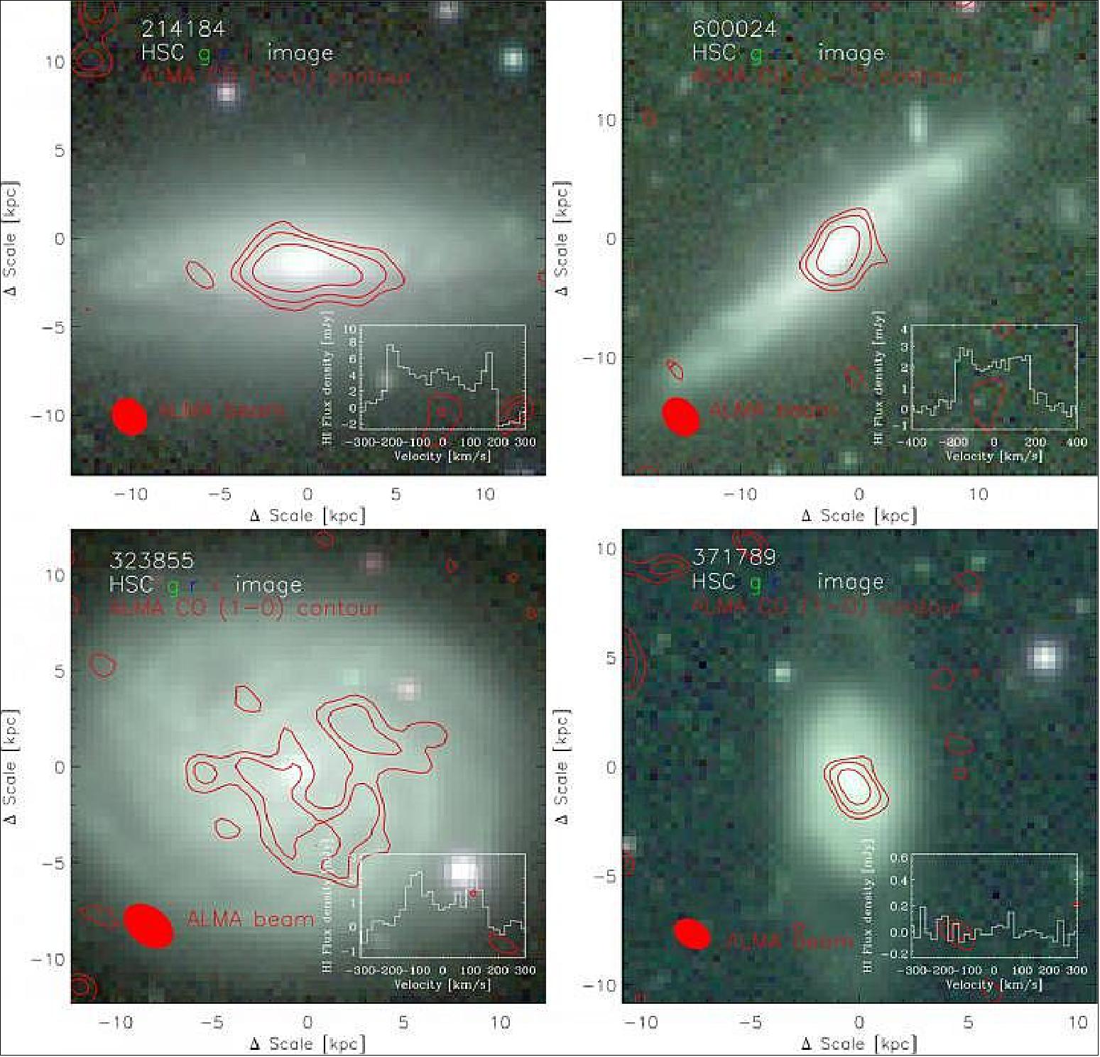 Figure 18: The optical color images of the four galaxies for FAST observation. The red contours are the previous CO observation by ALMA. The white spectra in each panel are the results from FAST (image credit: CASSACA)