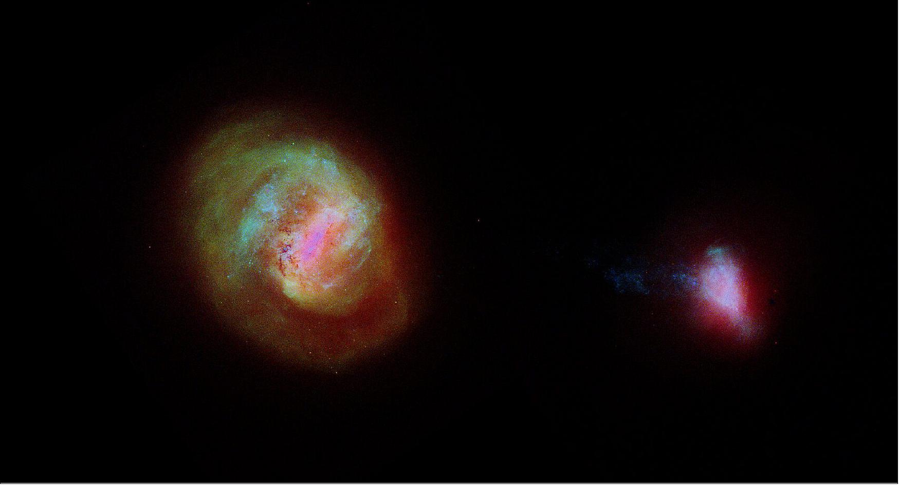 Figure 50: Gaia’s view of the Milky Way’s neighboring galaxies. The Large and Small Magellanic Clouds (LMC and SMC, respectively) are two dwarf galaxies that orbit the Milky Way. This image shows the stellar density of the satellite galaxies as seen by Gaia in its Early Data Release 3, which was made public on 3 December 2020. It is composed of red, green and blue layers, which trace mostly the older, intermediate age, and younger stars respectively. Astronomers place stars into categories that are often named for their color and appearance. - In this image, the red layer contains evolved stars that compose the Red Giant Branch and Red Clump stars. The green layer contains Main Sequence stars of mixed ages of up to two billion years. The blue layer contains stars younger than 400 million years, Asymptotic Giant Branch stars, and RR-Lyrae and classical Cepheid variable stars. - The brightnesses used in this image are based on a logarithmic scale to enhance low surface density regions in the galaxies, for example the outer spiral arm in the LMC visible in the upper left.- The density of younger stars has been artificially enhanced with respect to the other evolutionary phases to make them more clearly visible. This shows that younger stars mostly trace the inner spiral structure of the LMC, and the ‘bridge’ of stars between the two galaxies. Finally, intermediate age and older stars trace the LMC bar, spiral arms, and outer halo, as well as the SMC outer halo [image credit: ESA/Gaia/DPAC; CC BY-SA 3.0 IGO. Acknowledgement: L. Chemin; X. Luri et al (2020)]
