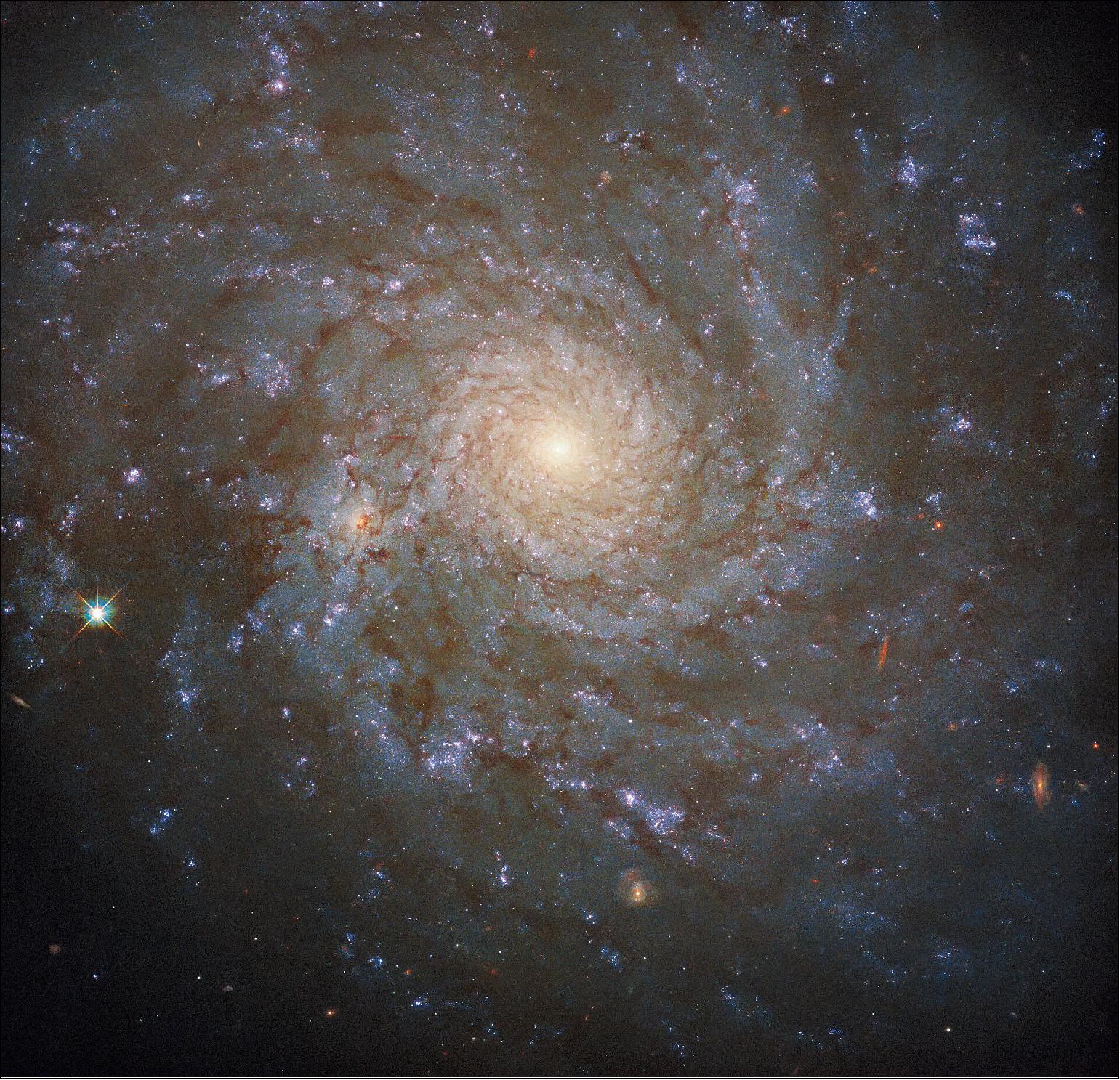 Figure 65: This image comes from a large programme of observations designed to produce a treasure trove of combined observations from two great observatories: Hubble and ALMA. ALMA, The Atacama Large Millimeter/submillimeter Array, is a vast telescope consisting of 66 high-precision antennas high in the Chilean Andes, which together observe at wavelengths between infrared and radio waves. This allows ALMA to detect the clouds of cool interstellar dust which give rise to new stars. Hubble’s razor-sharp observations at ultraviolet wavelengths, meanwhile, allows astronomers to pinpoint the location of hot, luminous, newly formed stars. Together, the ALMA and Hubble observations provide a vital repository of data to astronomers studying star formation, as well as laying the groundwork for future science with the NASA/ESA/CSA James Webb Space Telescope (image credit: ESA/Hubble & NASA, J. Lee and the PHANGS-HST Team; CC BY 4.0)