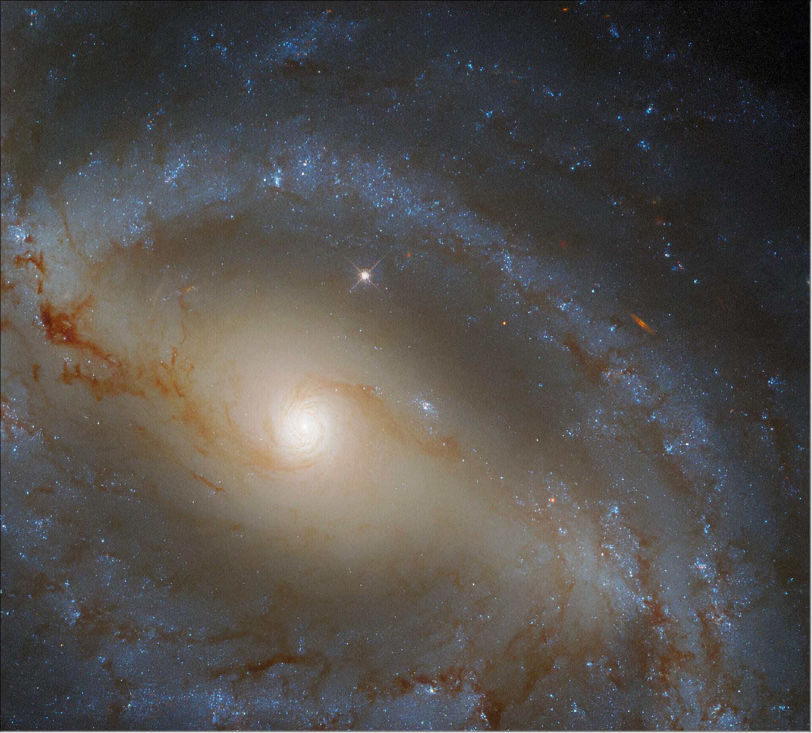 Figure 59: The scientific study behind this image was also split into two parts — observations from Hubble’s Wide Field Camera 3 and observations from the ground-based Gemini Observatory. These two observatories joined forces to better understand the relationship between galaxies like NGC 5921 and the supermassive black holes they contain. Hubble’s contribution to the study was to determine the masses of stars in the galaxies and also to take measurements that help calibrate the observations from Gemini. Together, the Hubble and Gemini observations provided astronomers with a census of nearby supermassive black holes in a diverse variety of galaxies (ESA/Hubble & NASA, J. Walsh; CC BY 4.0, Acknowledgement: R. Colombari)