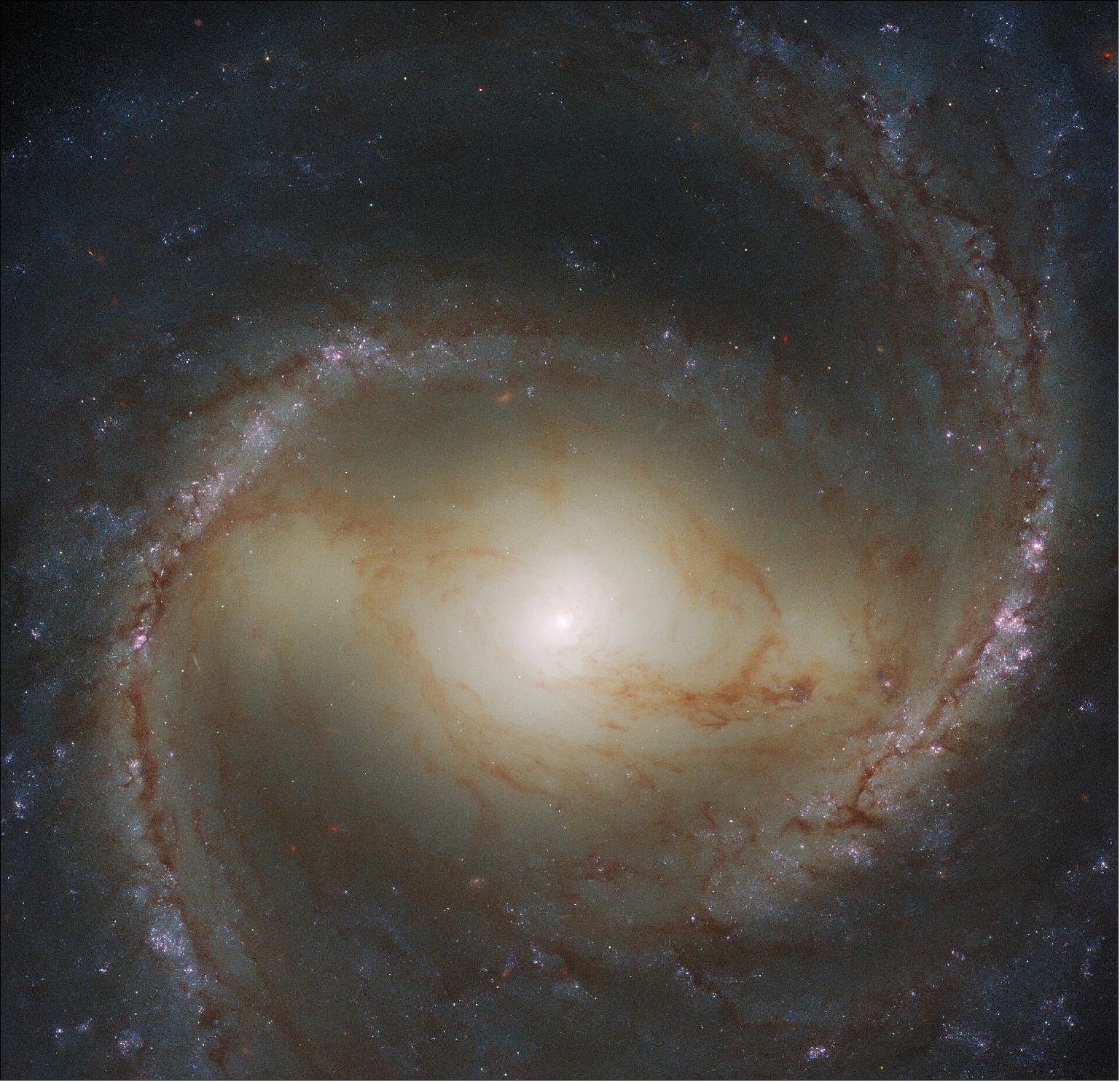 Figure 53: Whilst archival Hubble data allowed astronomers to weigh M91’s central black hole, more recent observations have had other scientific aims. This observation is part of an effort to build a treasure trove of astronomical data exploring the connections between young stars and the clouds of cold gas in which they form. To do this, astronomers used Hubble to obtain ultraviolet and visible observations of galaxies already seen at radio wavelengths by the ground-based Atacama Large Millimeter/submillimeter Array (ALMA), image credit: ESA/Hubble & NASA, J. Lee and the PHANGS-HST Team; CC BY 4.0