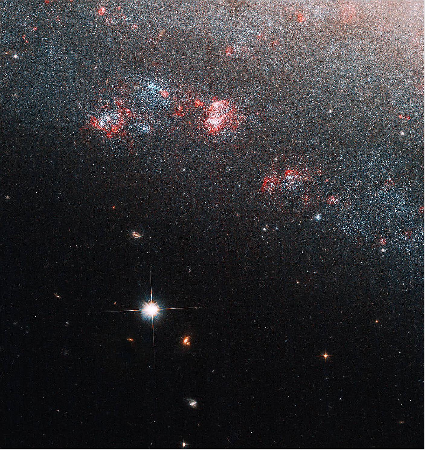Figure 44: This image zooms into the very edge of the galaxy, on the opposite side of the void. Below the edge of the galaxy’s disk, smaller and more distant galaxies are visible, as well as a very bright foreground star that lies between us and NGC 247. Bright red indicates areas of high-density gas and dust, and robust star formation rather close to the edge of the galaxy [image credit: NASA, ESA, and H. Feng (Tsinghua University); Image processing: G. Kober (NASA Goddard/Catholic University of America)]