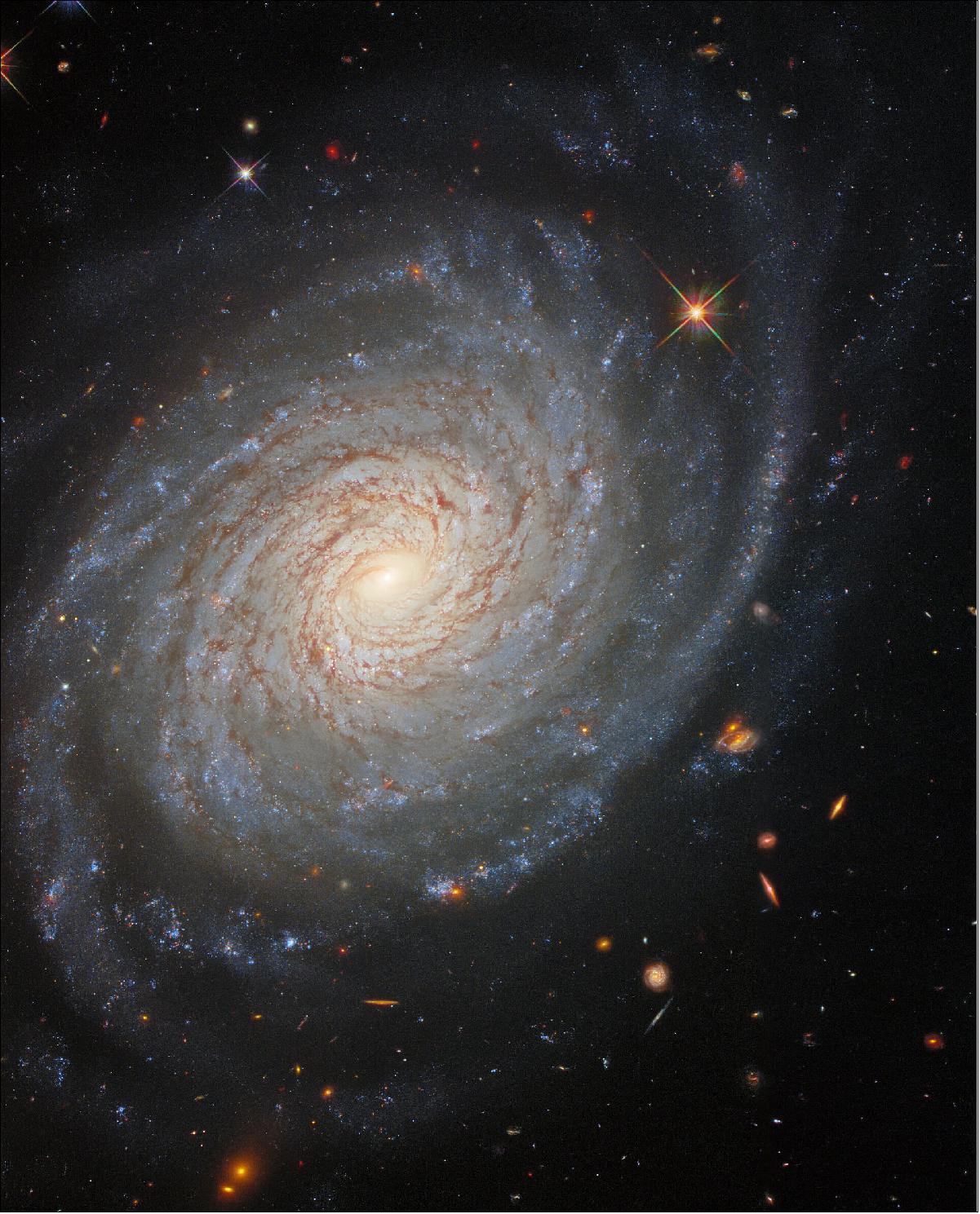 Figure 82: Supernovae are also a useful aid for astronomers who measure the distances to faraway galaxies. The amount of energy thrown out into space by supernova explosions is very uniform, allowing astronomers to estimate their distances from how bright they appear to be when viewed from Earth. This image — which was created using data from Hubble’s Wide Field Camera 3 — comes from a large collection of Hubble observations of nearby galaxies which host supernovae as well as a pulsating class of stars known as Cepheid variables. Both Cepheids and supernovae are used to measure astronomical distances, and galaxies containing both objects provide useful natural laboratories where the two methods can be calibrated against one another (image credit: ESA/Hubble & NASA, D. Jones, A. Riess et al.; CC BY 4.0)