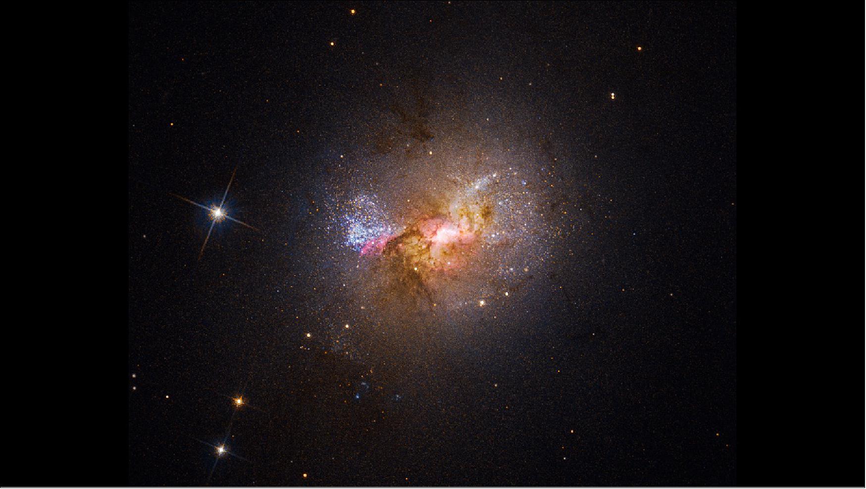 Figure 81: Dwarf starburst galaxy Henize 2-10 sparkles with young stars in this Hubble visible-light image. The bright region at the center, surrounded by pink clouds and dark dust lanes, indicates the location of the galaxy's massive black hole and active stellar nurseries [image credits: Science: NASA, ESA, Zachary Schutte (XGI), Amy Reines (XGI); Image Processing: Alyssa Pagan (STScI)]