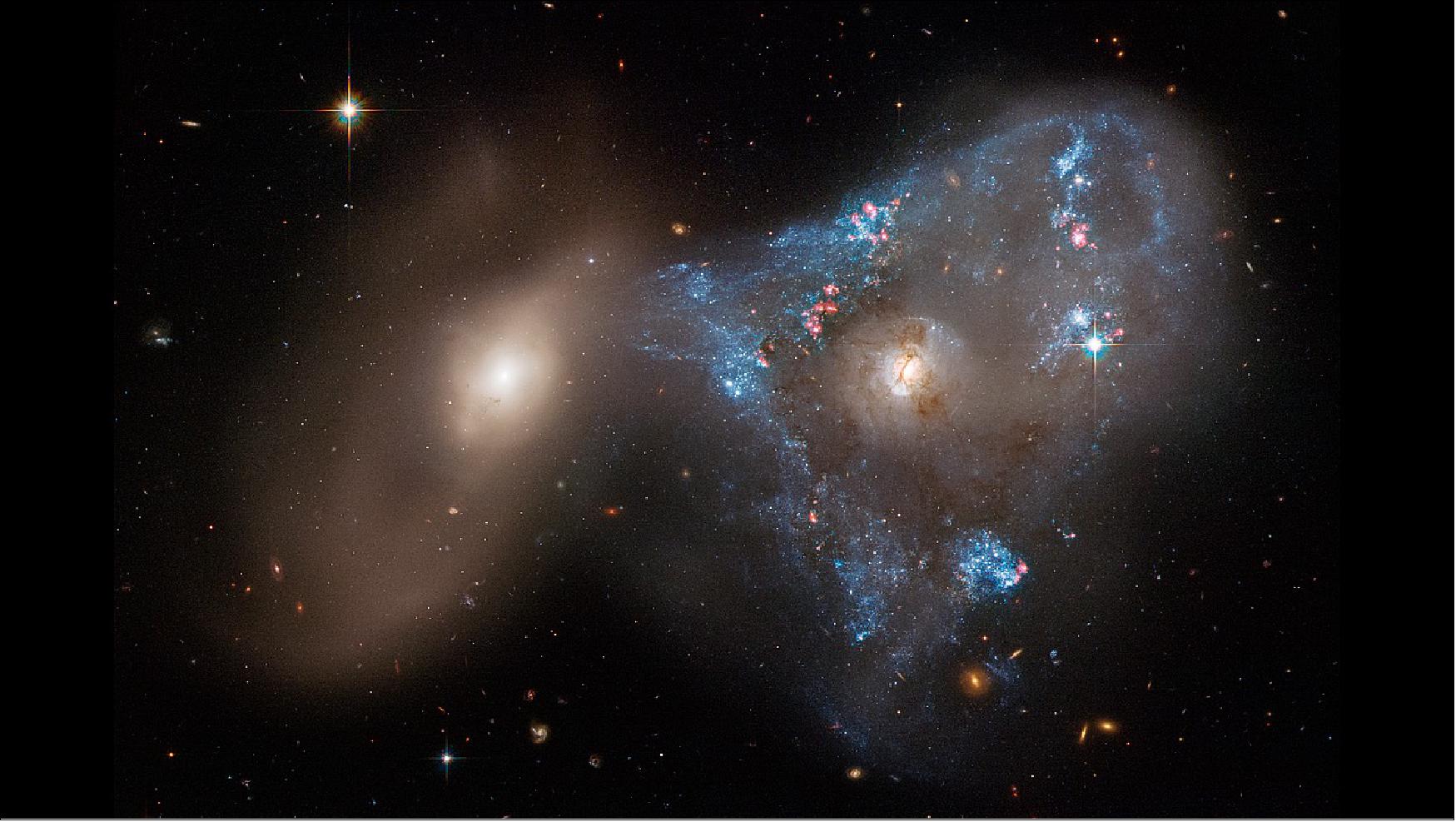 Figure 71: A spectacular head-on collision between two galaxies fueled the unusual triangular-shaped star-birthing frenzy, as captured in a new image from NASA's Hubble Space Telescope. The interacting galaxy duo is collectively called Arp 143. The pair contains the glittery, distorted, star-forming spiral galaxy NGC 2445 at right, along with its less flashy companion, NGC 2444 at left. — Astronomers suggest that the galaxies passed through each other, igniting the uniquely shaped star-formation firestorm in NGC 2445, where thousands of stars are bursting to life on the right-hand side of the image. This galaxy is awash in starbirth because it is rich in gas, the fuel that makes stars. However, it hasn't yet escaped the gravitational clutches of its partner NGC 2444, shown on the left side of the image. The pair is waging a cosmic tug-of-war, which NGC 2444 appears to be winning. The galaxy has pulled gas from NGC 2445, forming the oddball triangle of newly minted stars[Credits: Image: NASA, ESA, STScI, Julianne Dalcanton Center for Computational Astrophysics, Flatiron Inst. / U. Washington); Image processing: Joseph DePasquale (STScI)]
